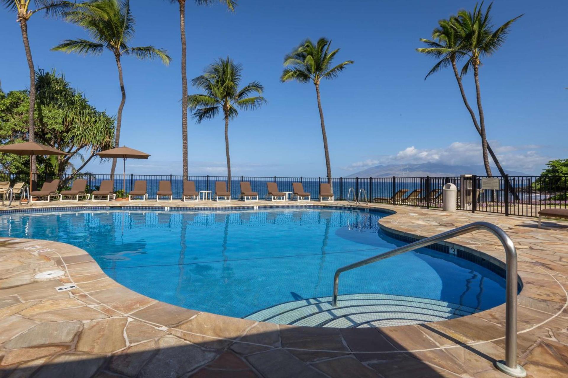 Polo Beach Club - CoralTree Residence Collection photo 18