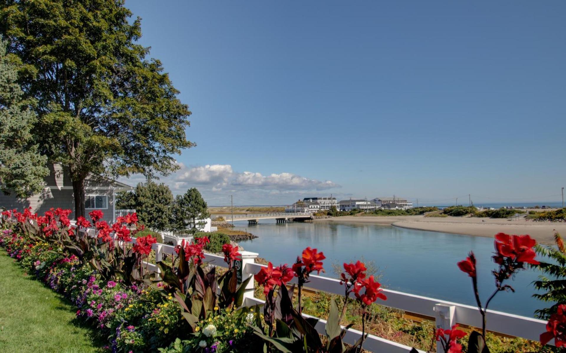 Terrace By The Sea photo 37