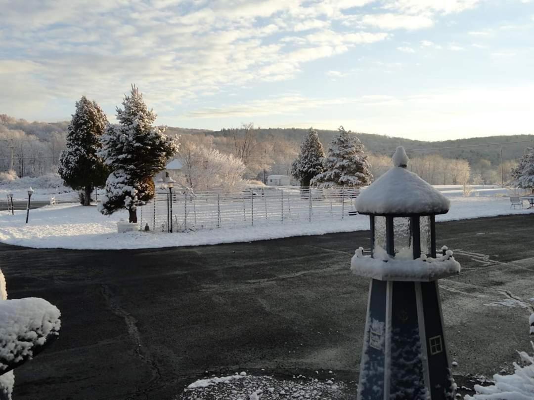 Elm Tree Motel photo 17