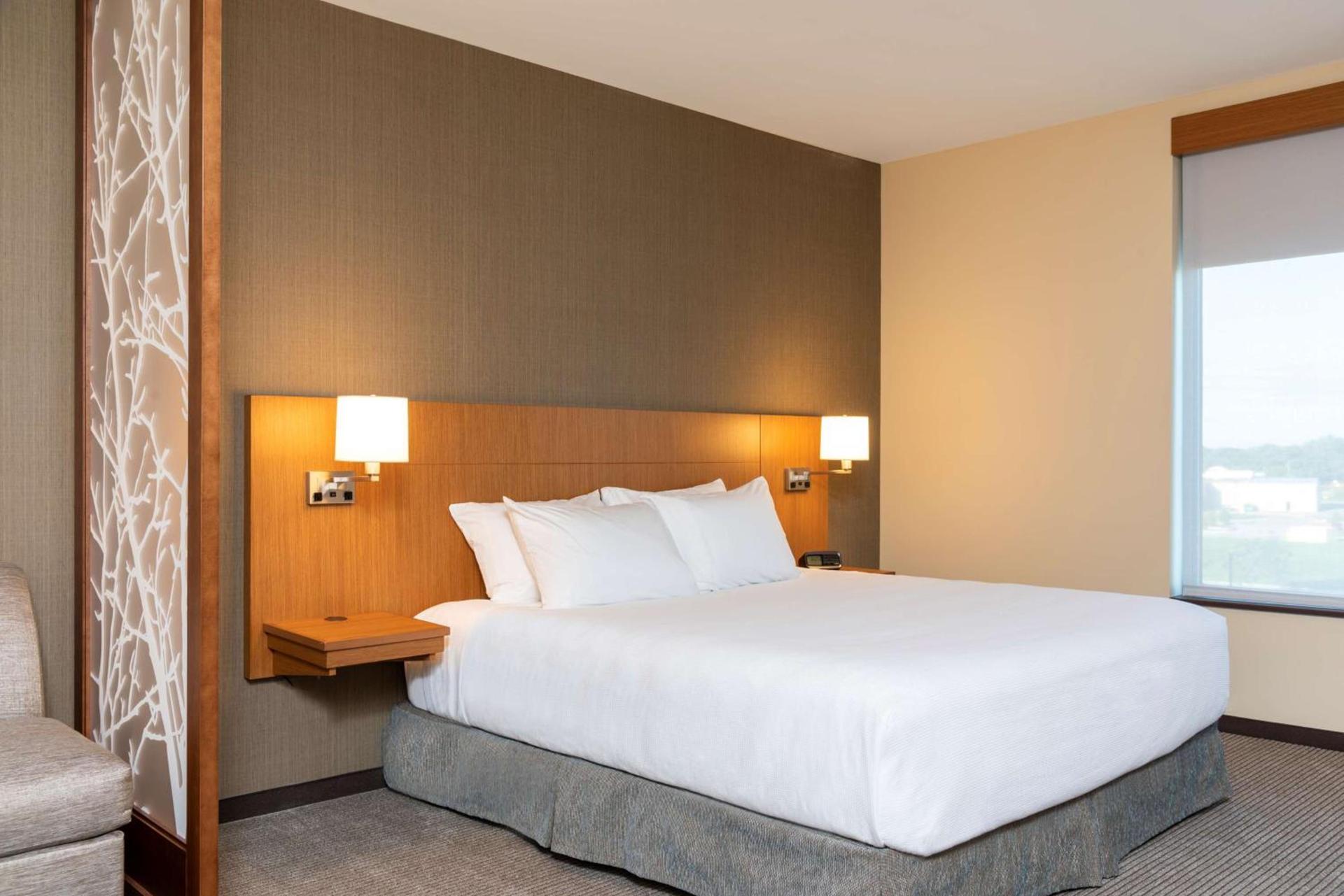 Hyatt Place Flint/Grand Blanc photo 43