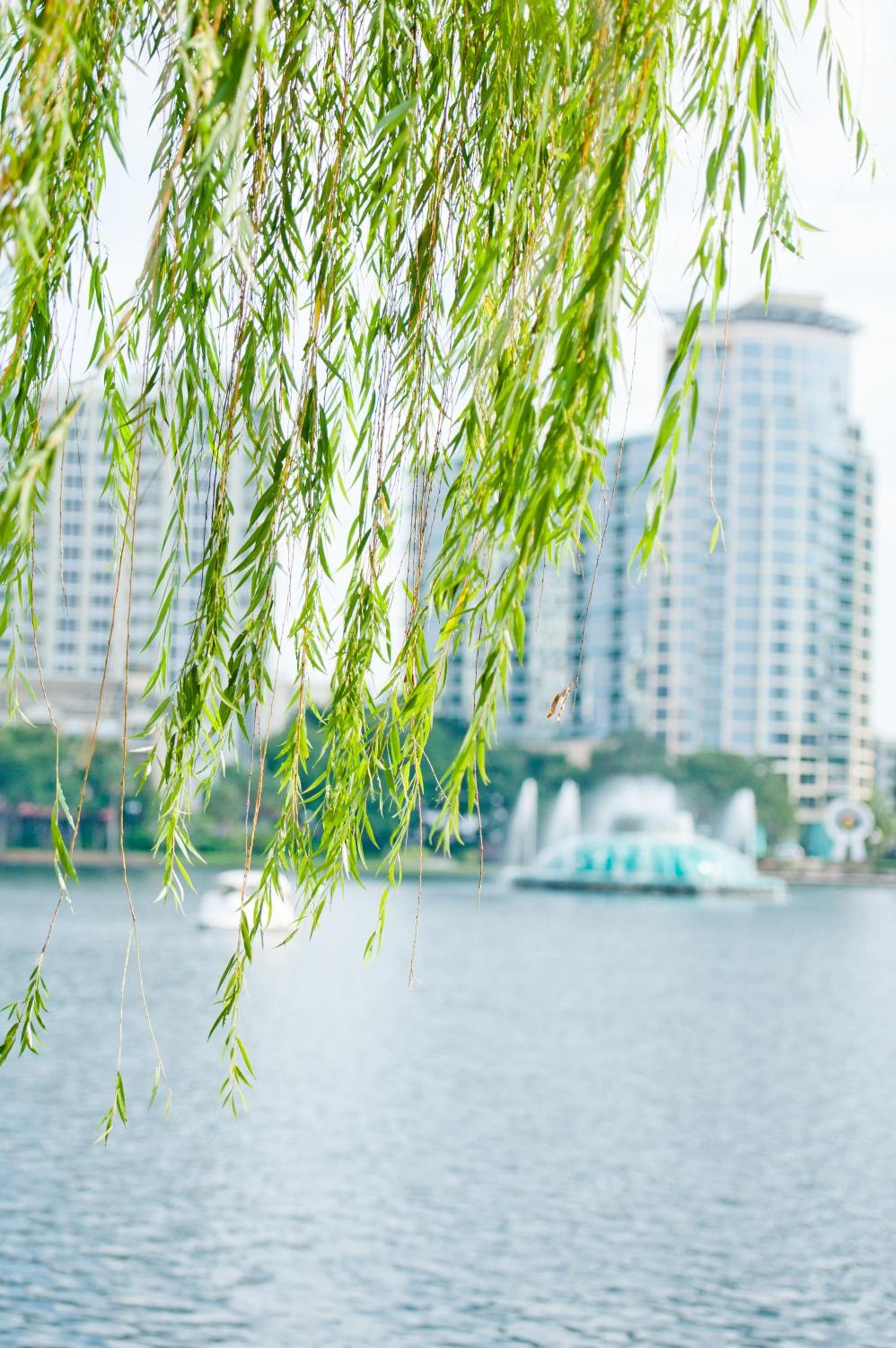 The EO Inn - Downtown Orlando photo 11