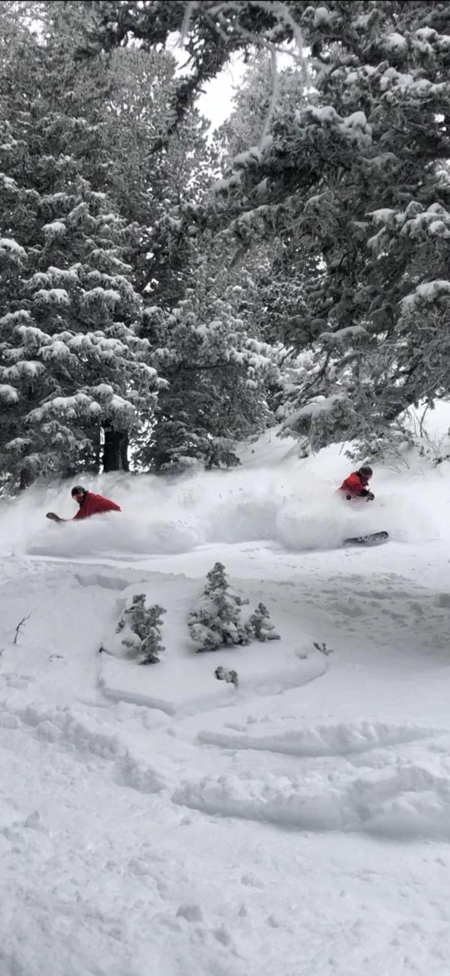 Inn at Snowbird photo 13