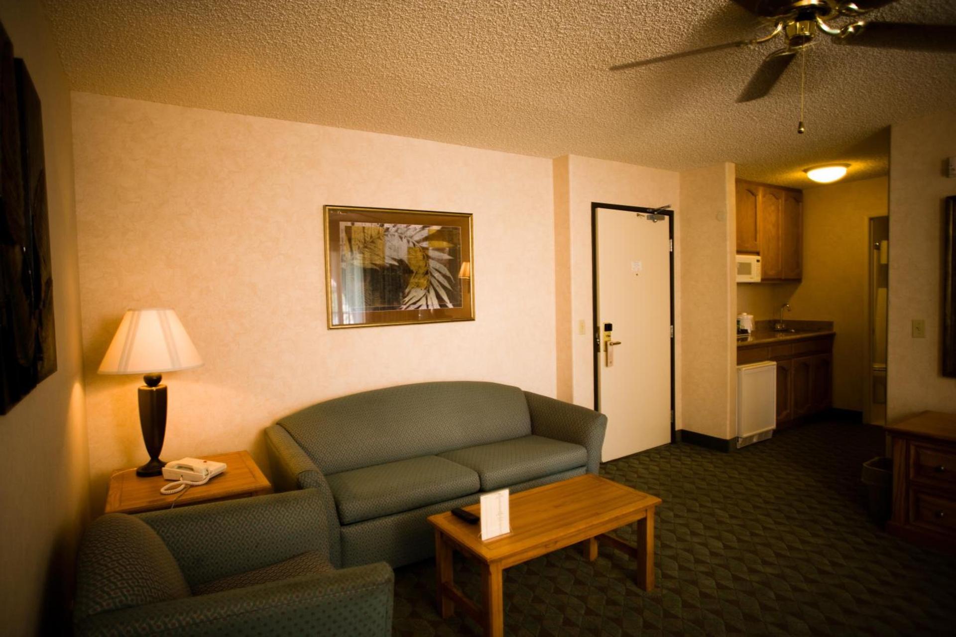 Borrego Springs Resort photo 17