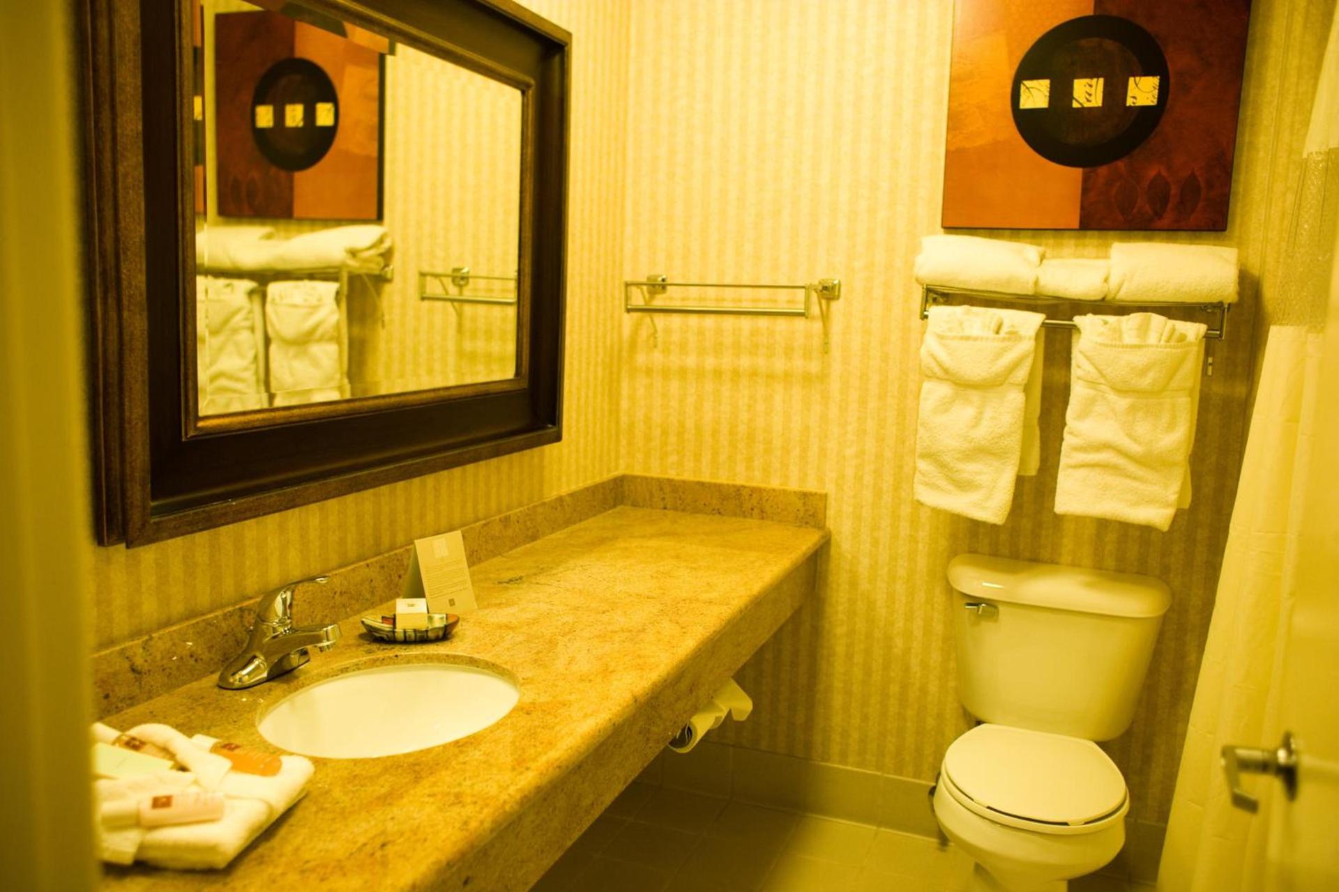 Borrego Springs Resort photo 28