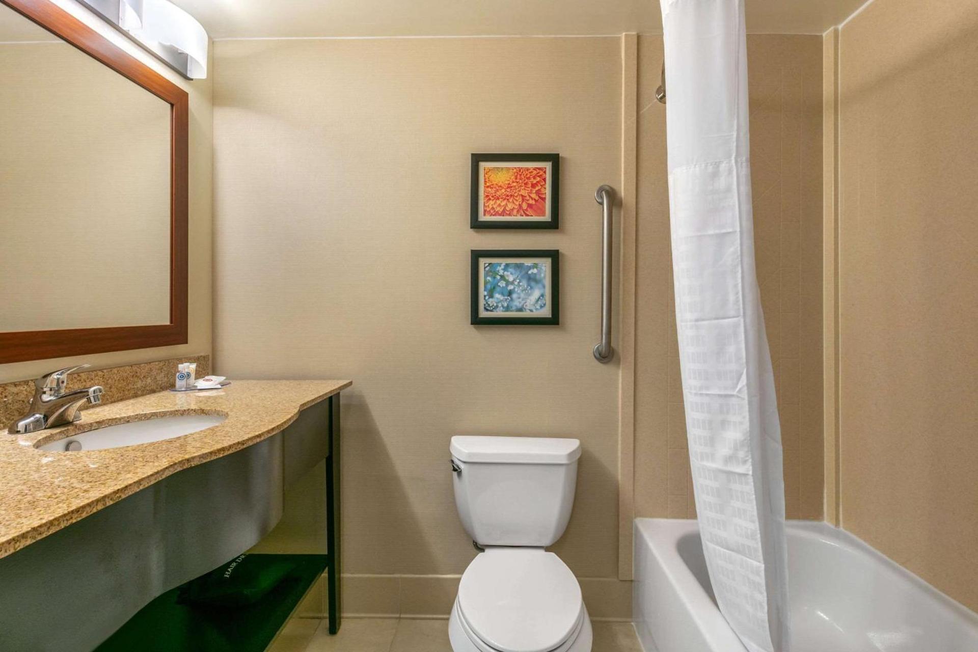 Comfort Inn & Suites Nashville Franklin Cool Springs photo 17