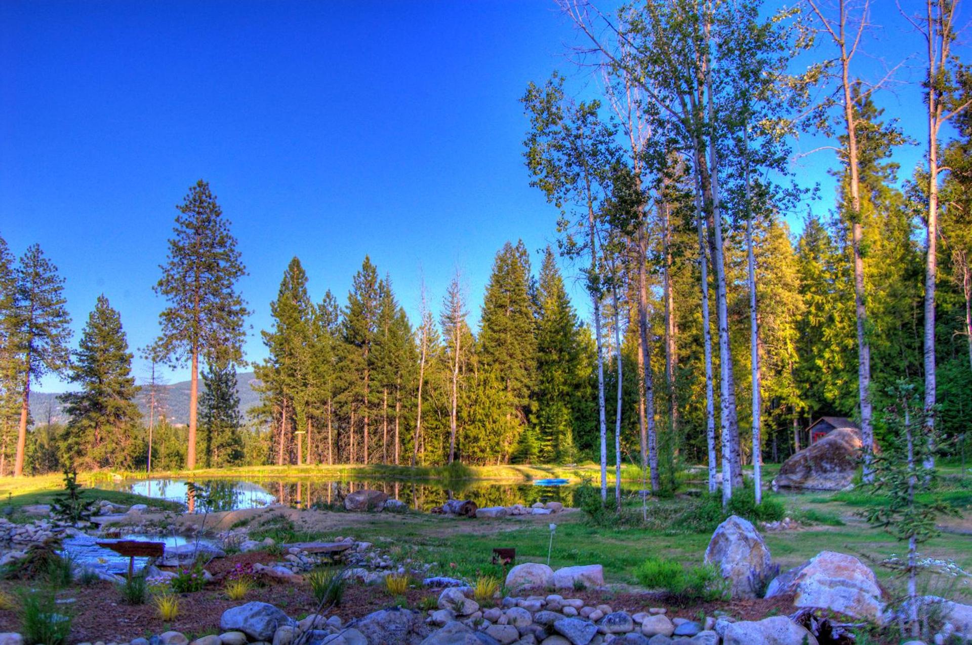Talus Rock Retreat photo 7