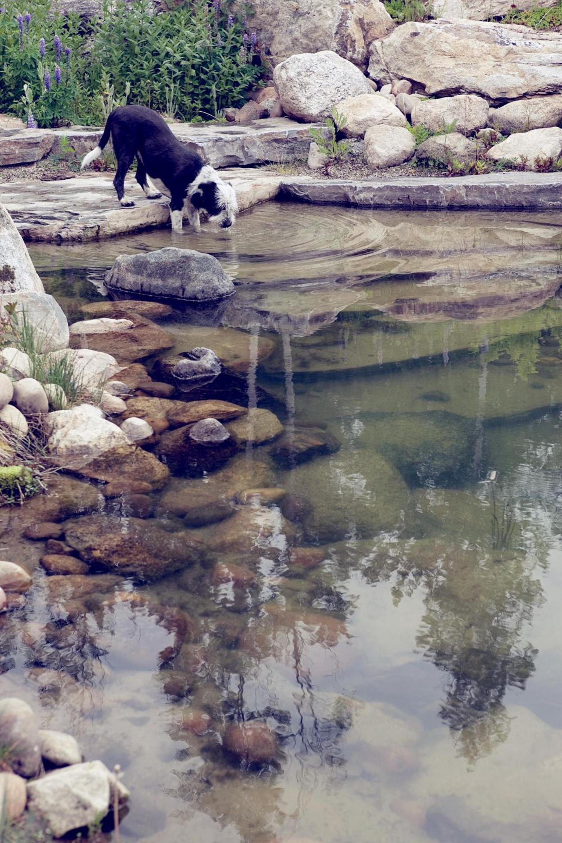 Talus Rock Retreat photo 13