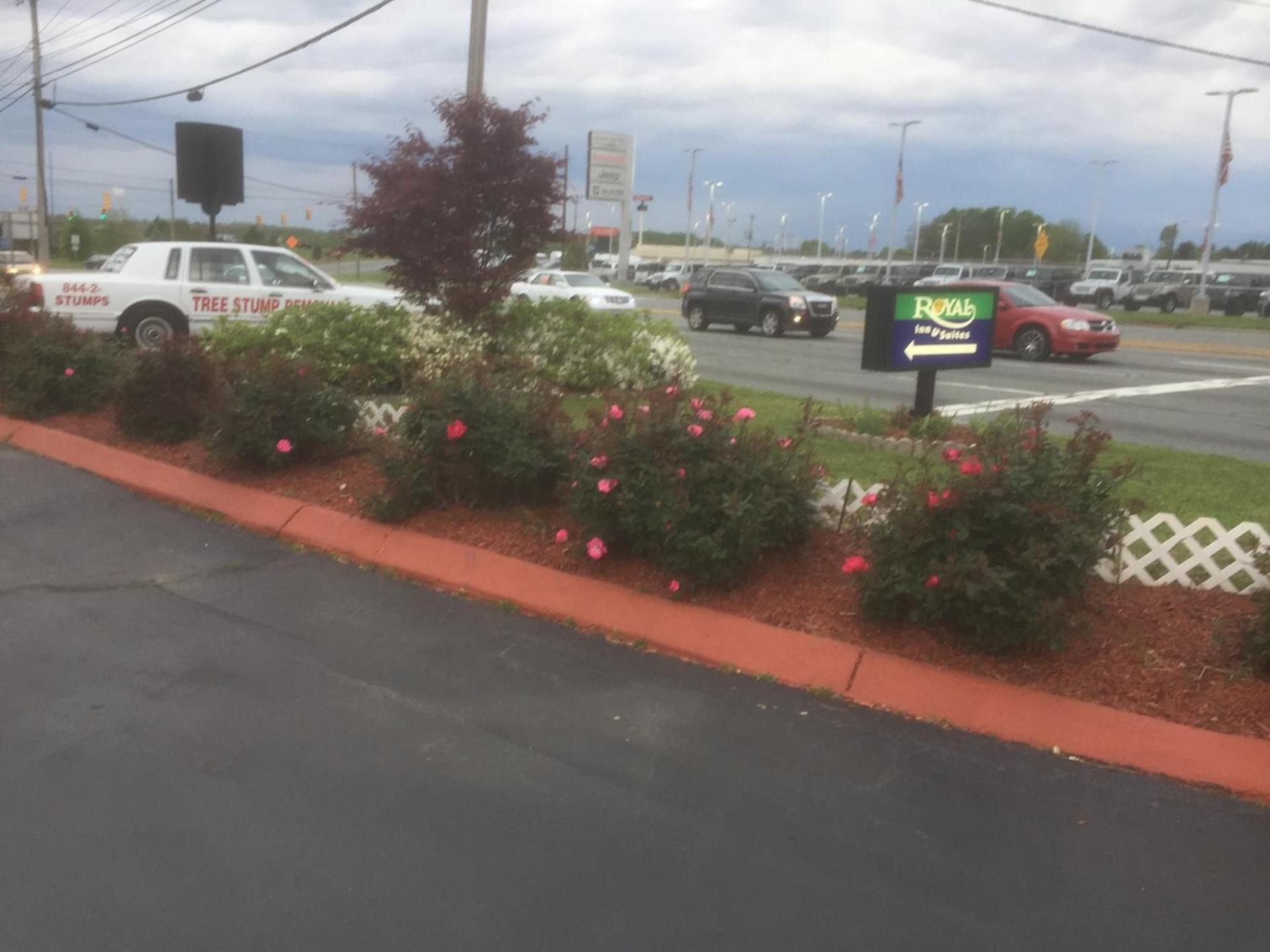 Royalinn & suites photo 13
