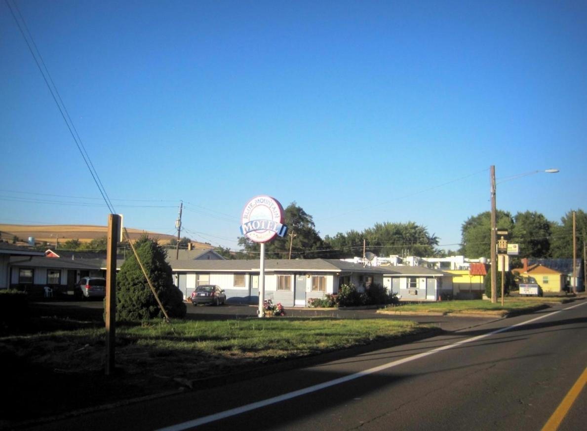 Blue Mountain Motel photo 14