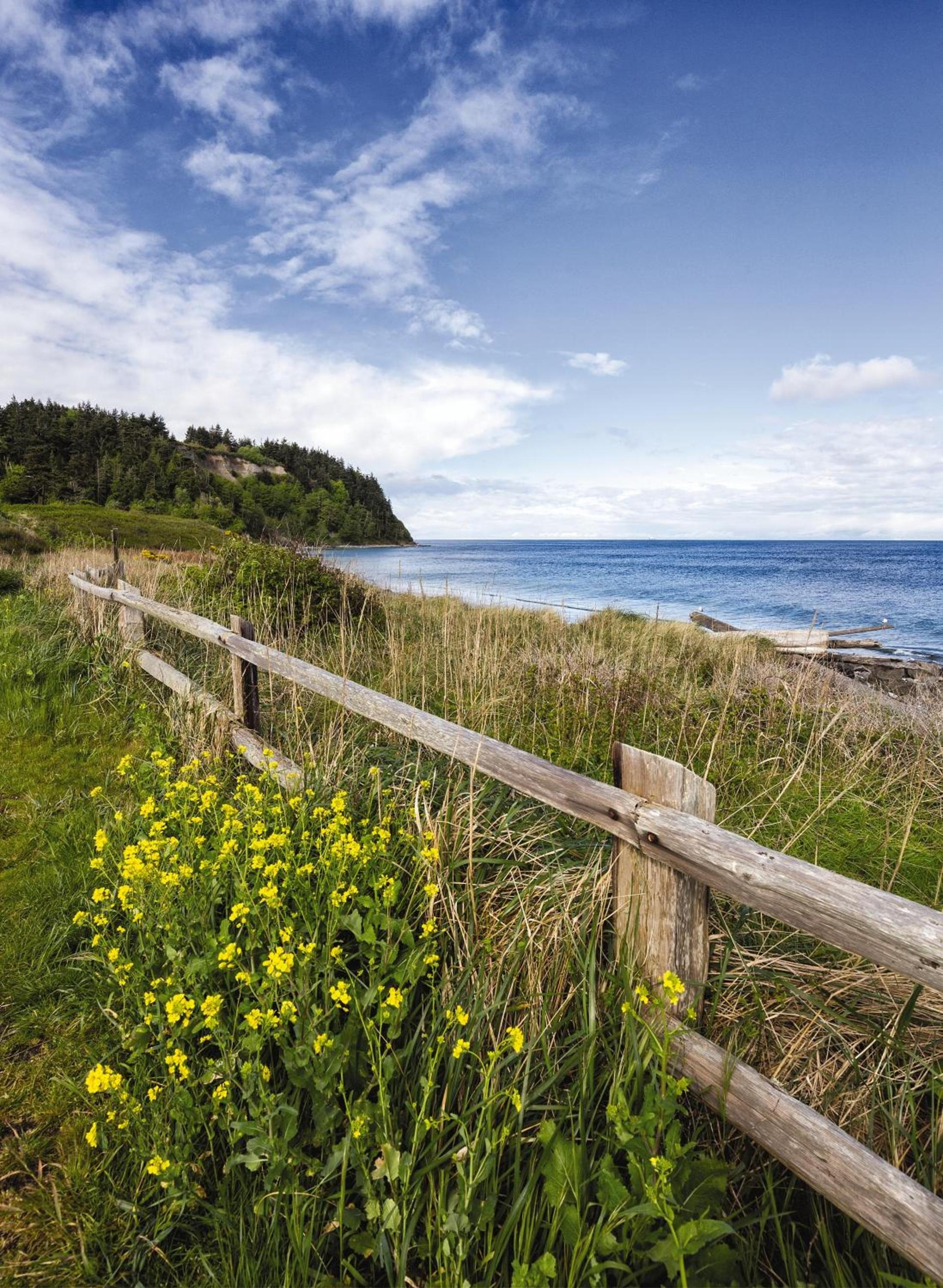 WorldMark Discovery Bay photo 5