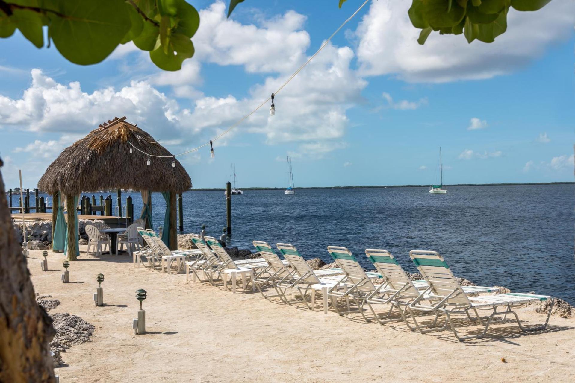 Amoray Dive Resort photo 91