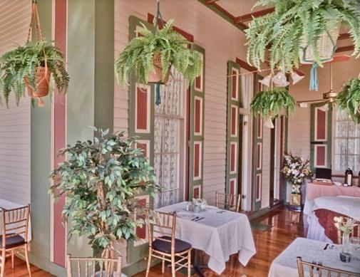 Southern Mansion photo 10