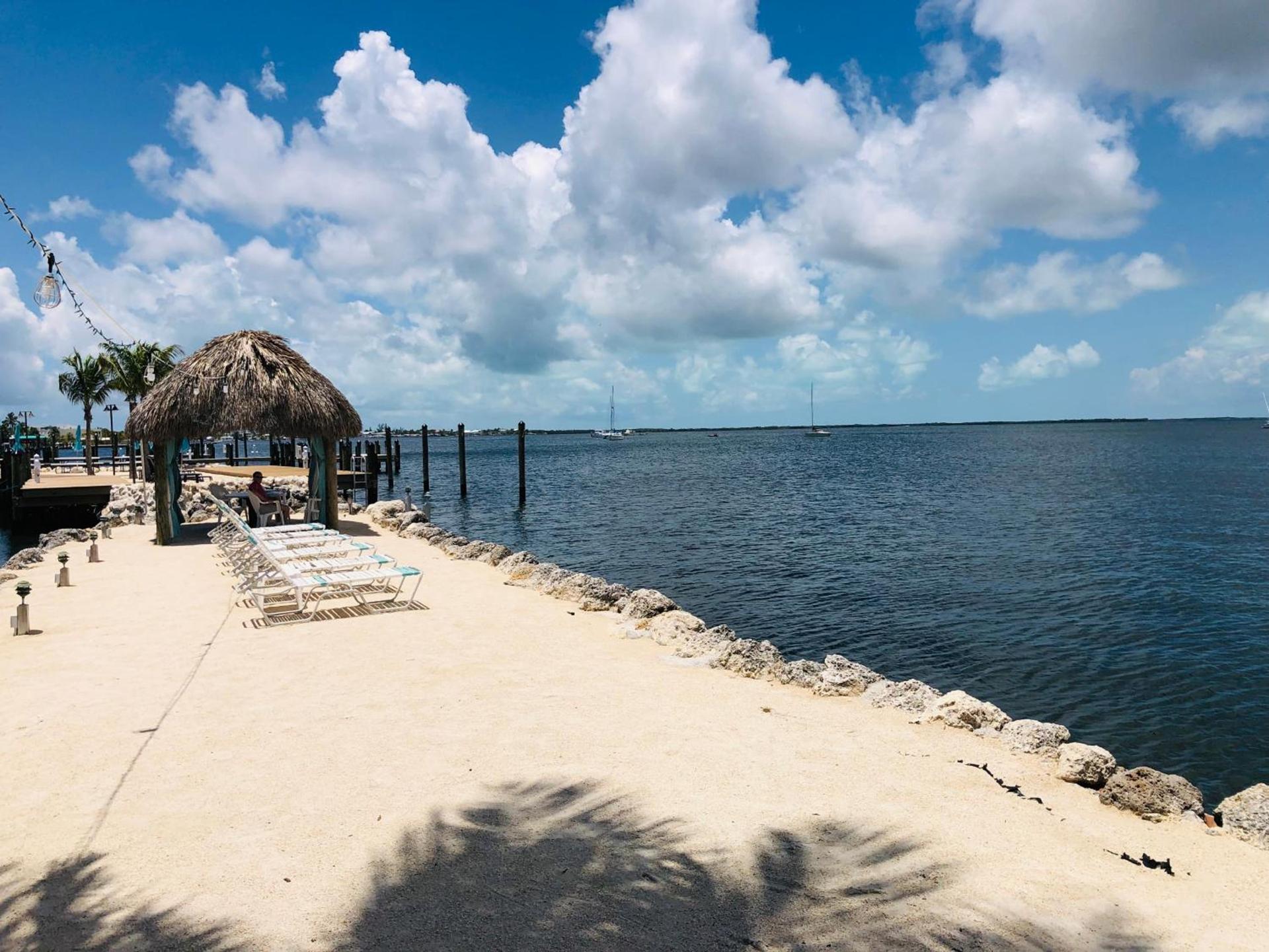 Amoray Dive Resort photo 30