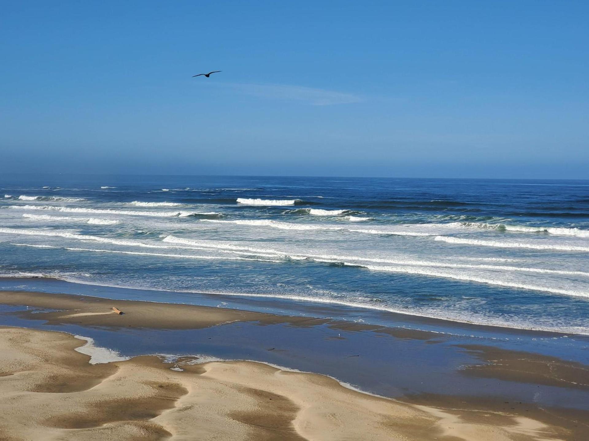 Nye Beach Cottages photo 20