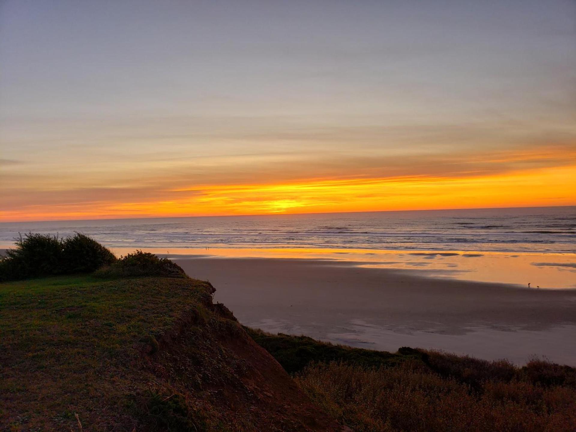 Nye Beach Cottages photo 3