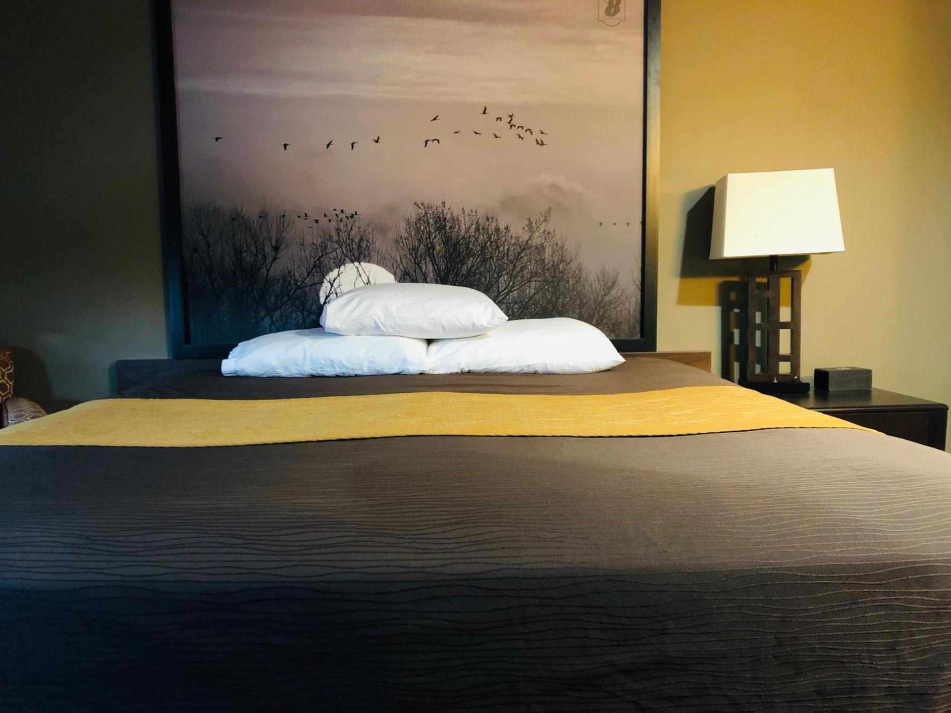 Super 8 by Wyndham Omaha SW photo 24