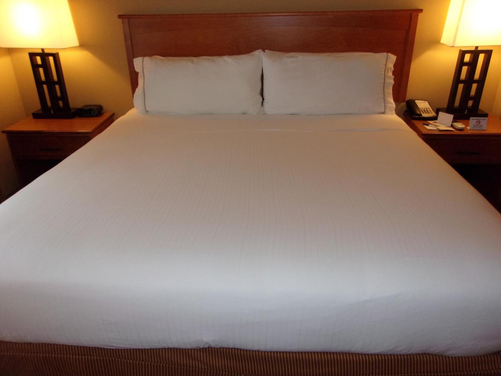 Holiday Inn Express Hotel & Suites Chicago West Roselle by IHG photo 32