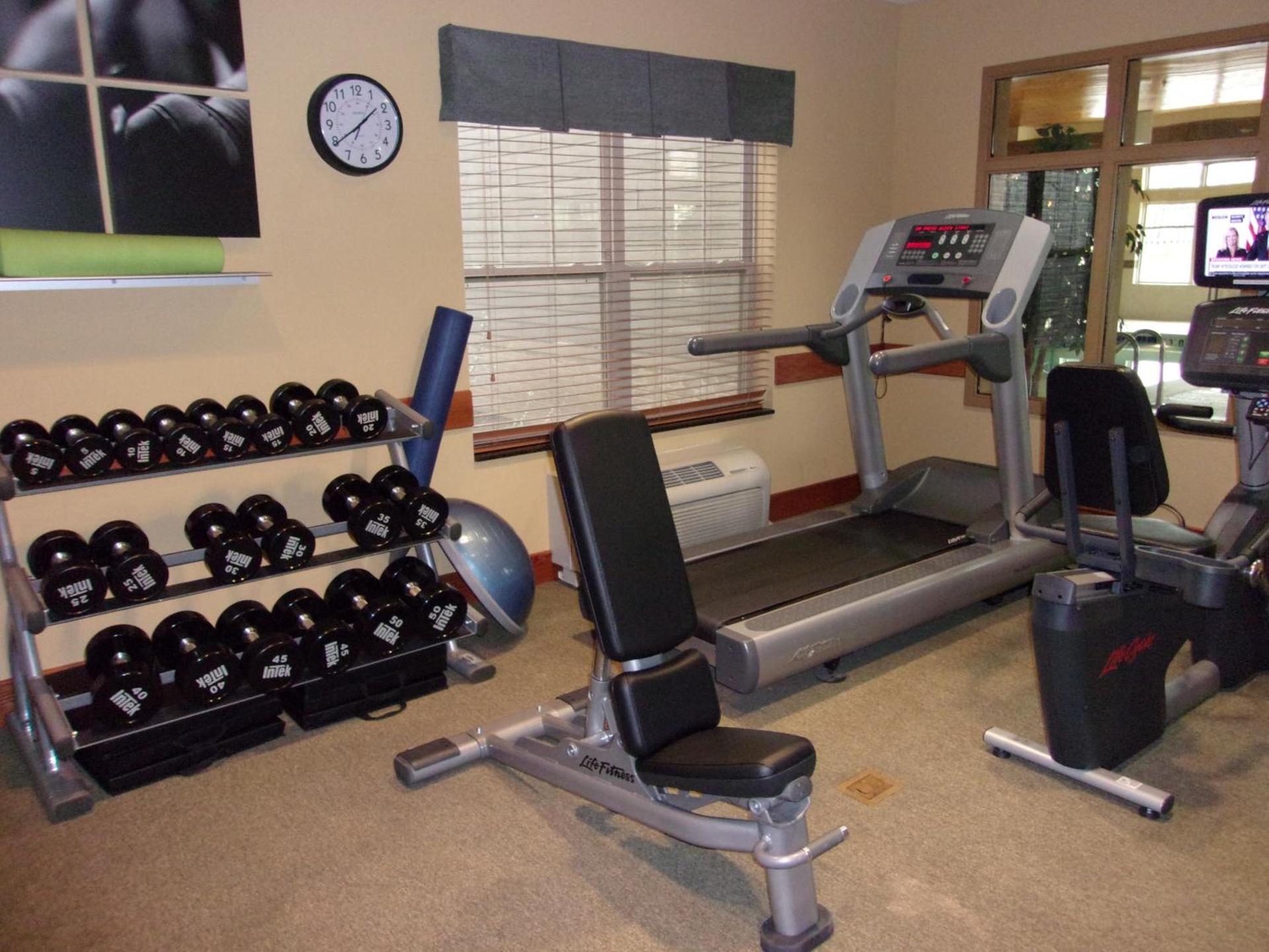 Holiday Inn Express Hotel & Suites Chicago West Roselle by IHG photo 22