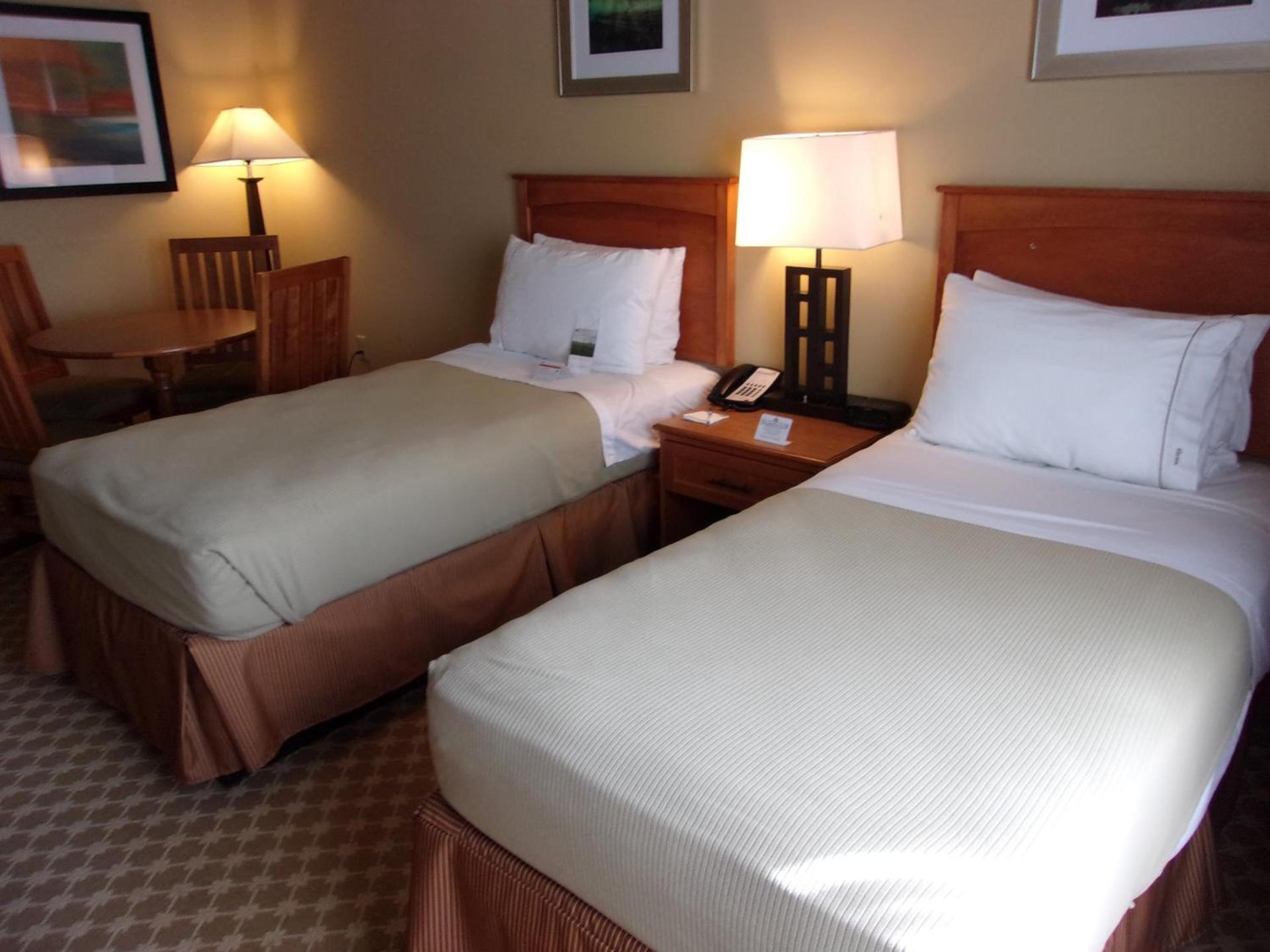 Holiday Inn Express Hotel & Suites Chicago West Roselle by IHG photo 31