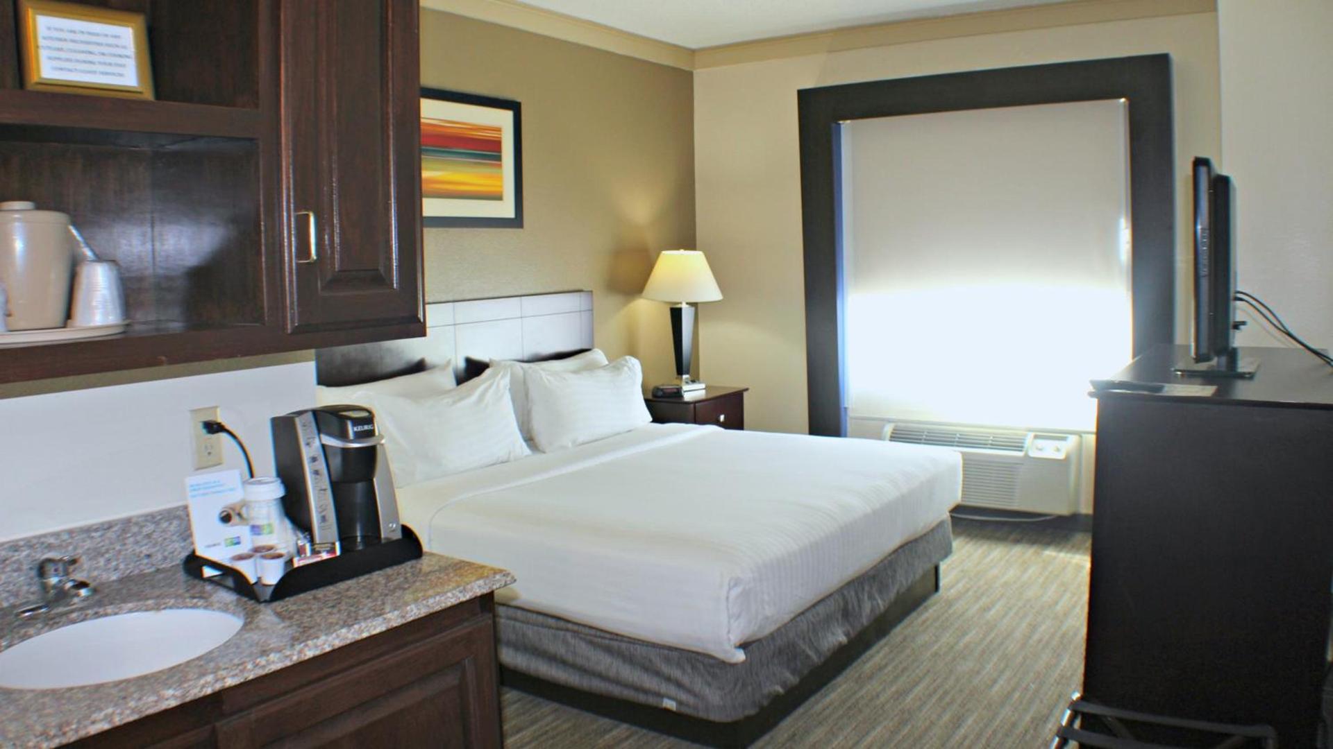 Holiday Inn Express & Suites Plainview by IHG photo 8