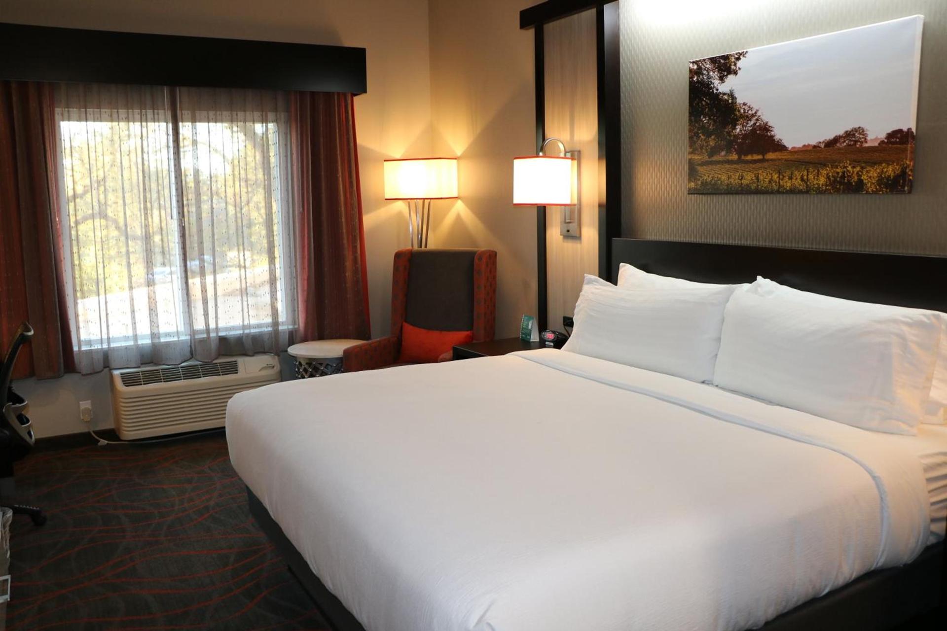 Holiday Inn Windsor - Wine Country by IHG photo 38