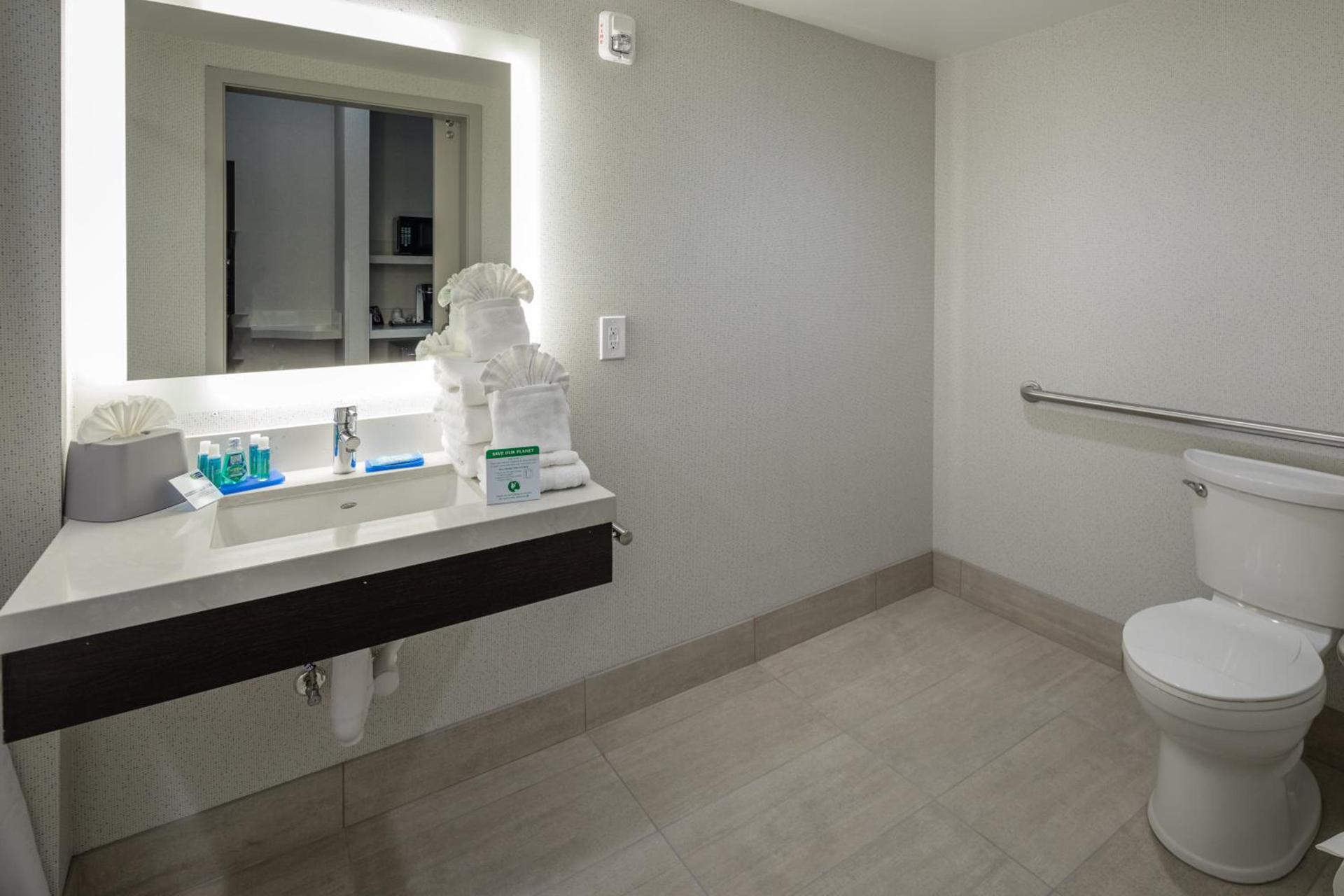 Holiday Inn Express - Sunnyvale - Silicon Valley by IHG photo 46