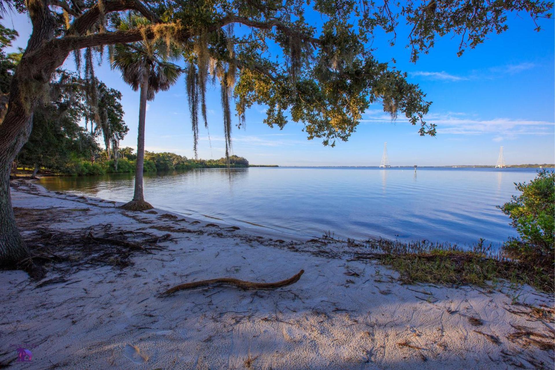 Holiday Inn Express Hotel & Suites Tampa-Oldsmar by IHG photo 45