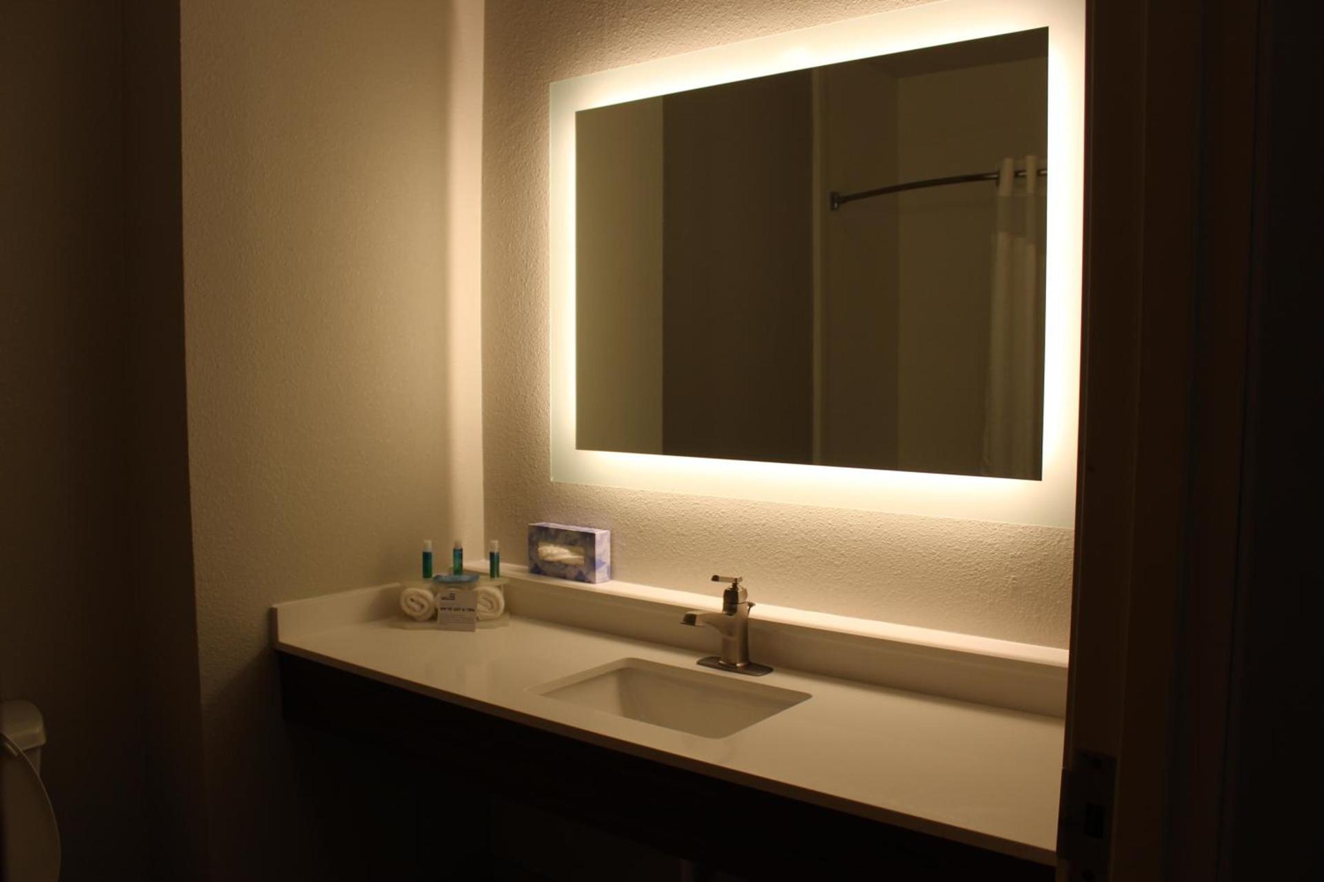 Holiday Inn Express Hotel & Suites Mansfield by IHG photo 24