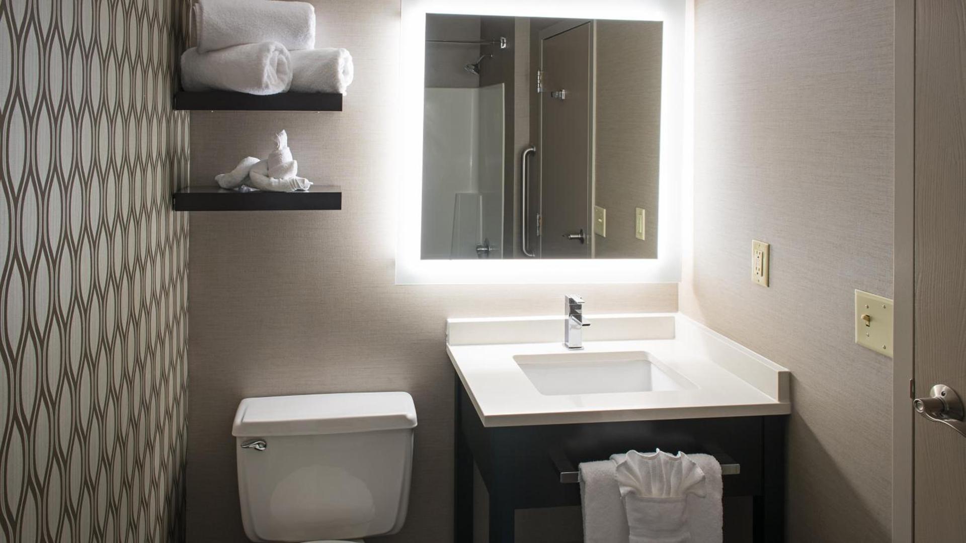 Holiday Inn St. Paul Downtown by IHG photo 21