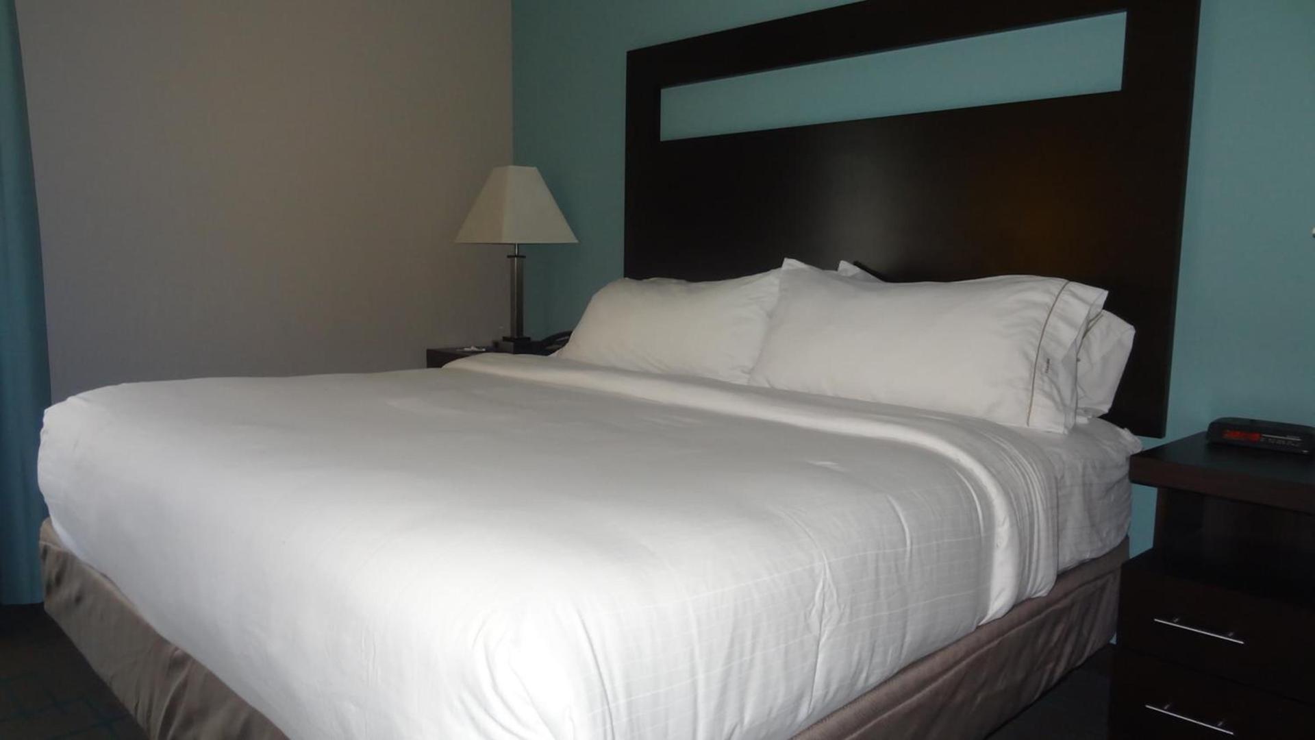 Holiday Inn Express Hotel Kansas City - Bonner Springs by IHG photo 15