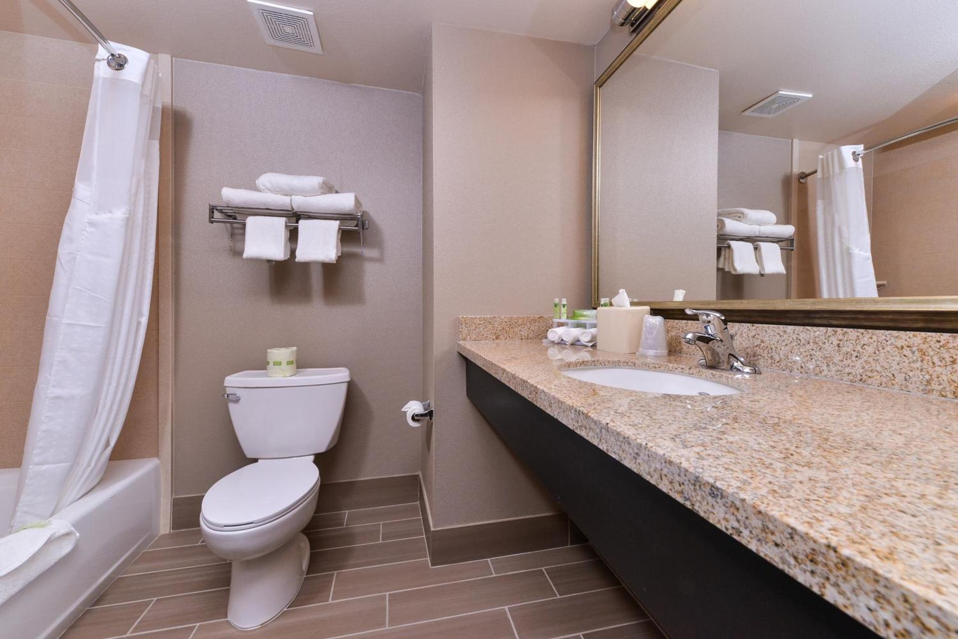 Holiday Inn Express & Suites Indio - Coachella Valley by IHG photo 64