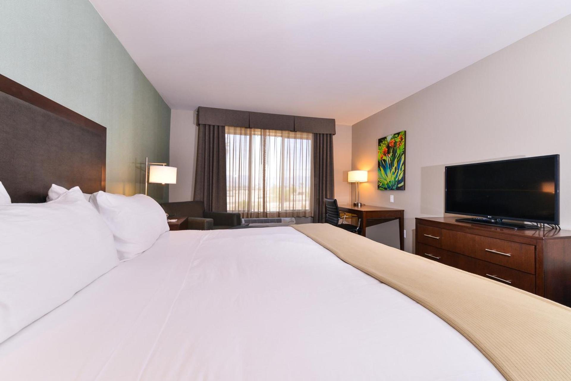Holiday Inn Express & Suites Indio - Coachella Valley by IHG photo 7