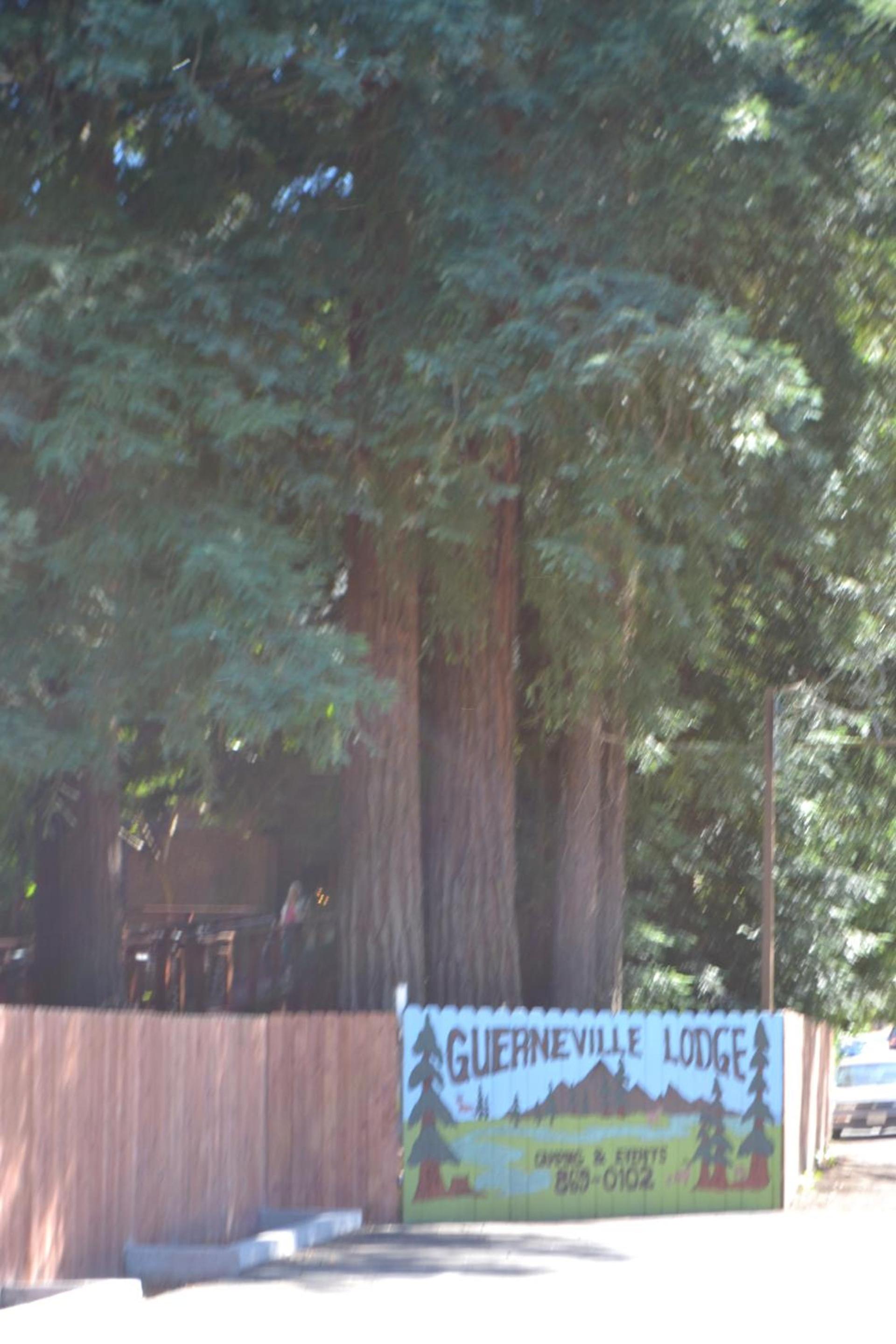 Guerneville Lodge photo 9