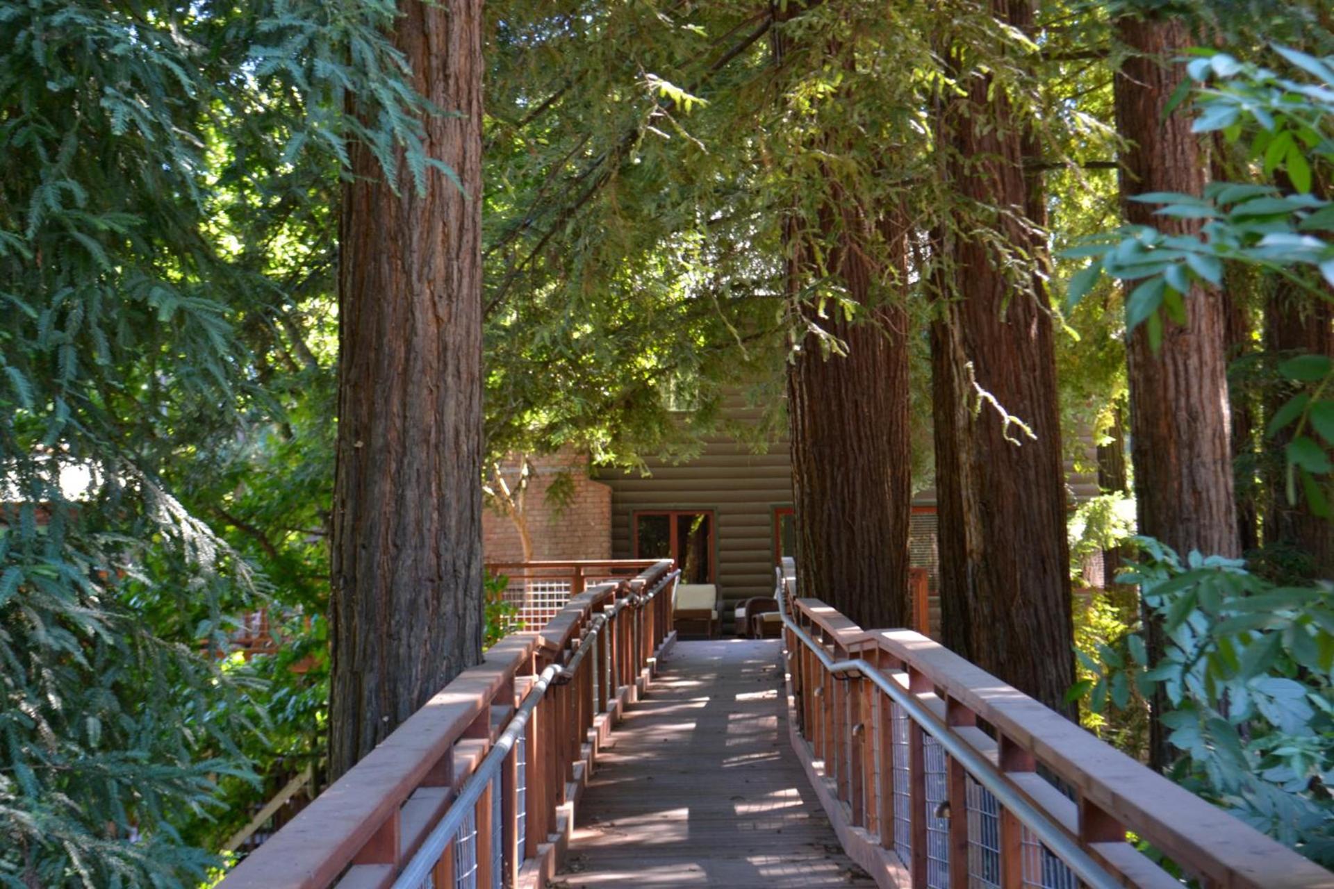 Guerneville Lodge photo 11