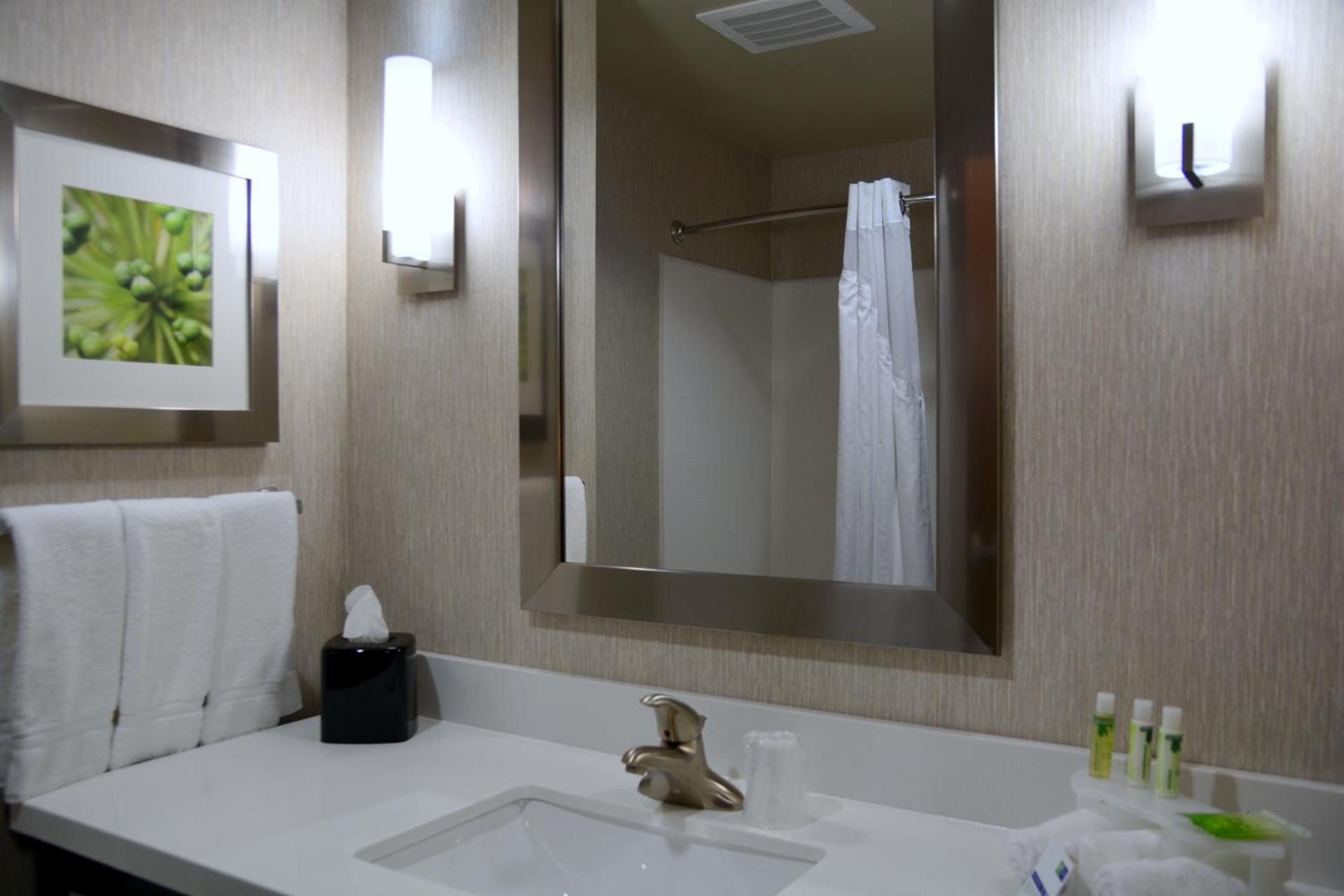 Holiday Inn Express Tomball by IHG photo 8