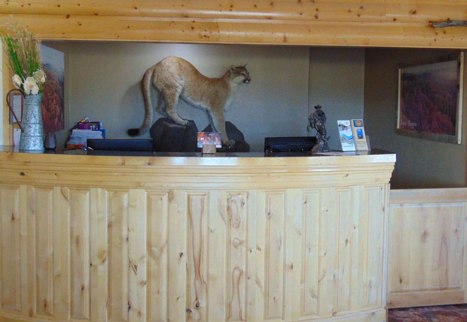 Bryce Canyon Resort photo 7