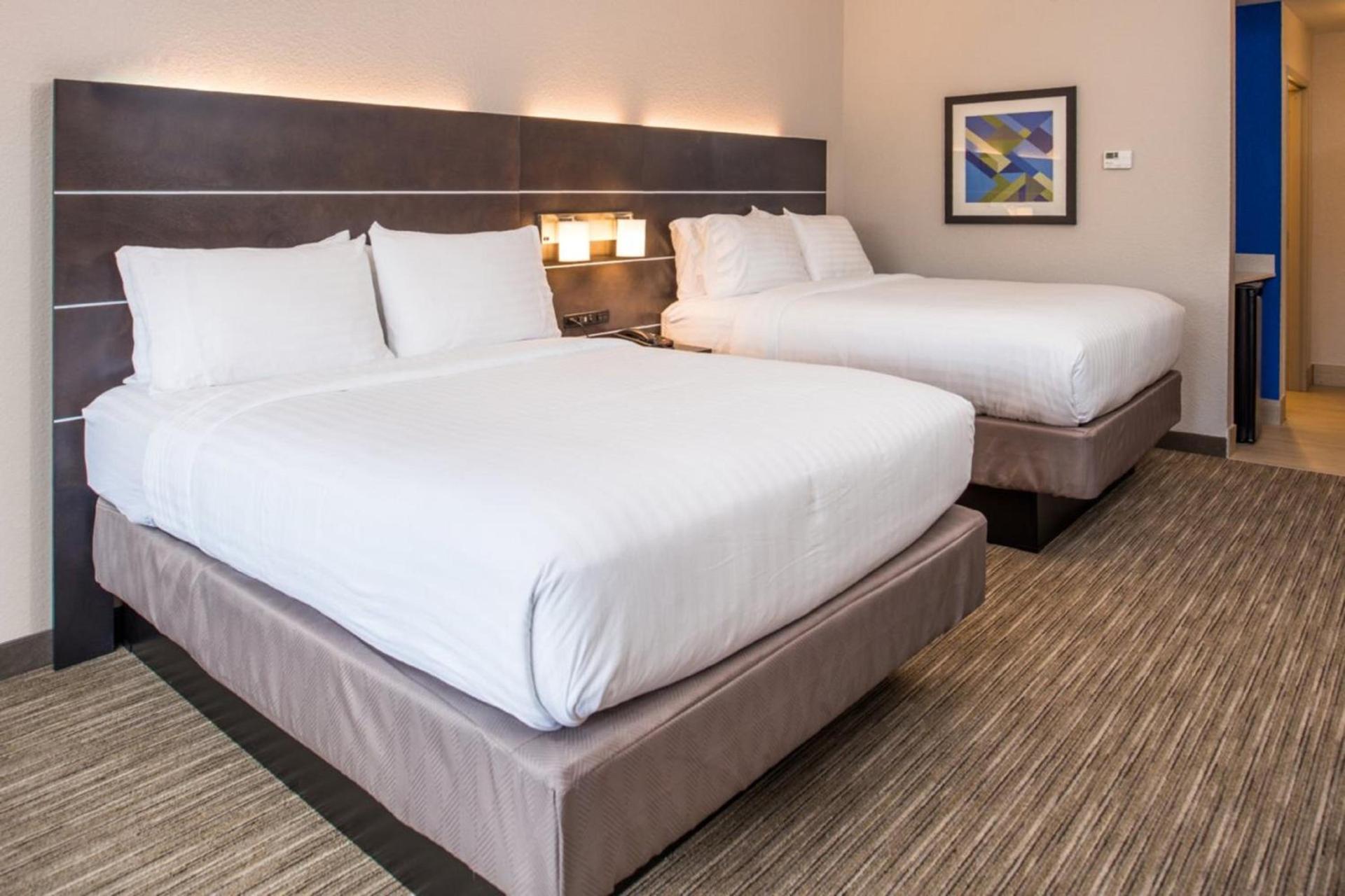 Holiday Inn Express & Suites - Tampa North - Wesley Chapel by IHG photo 33