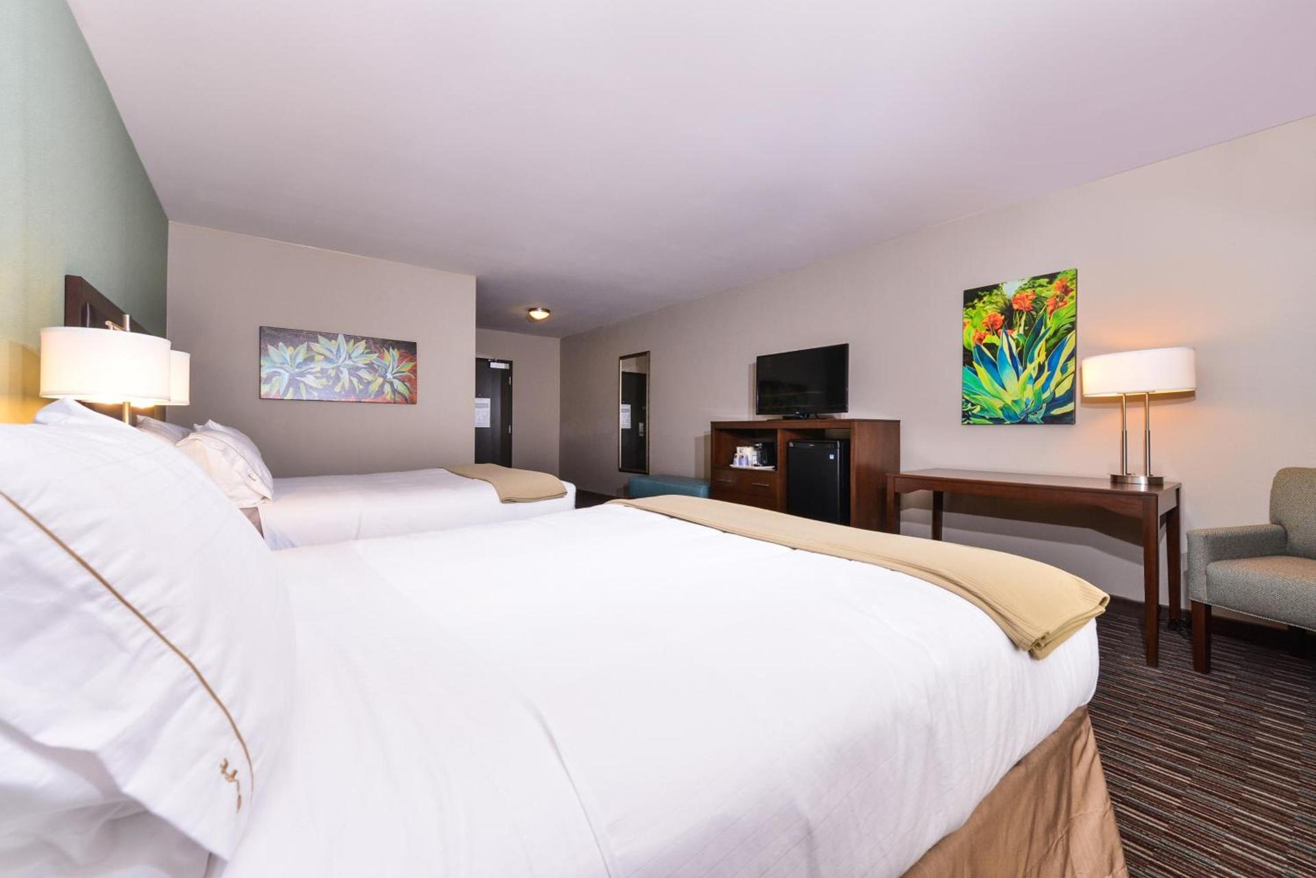 Holiday Inn Express & Suites Indio - Coachella Valley by IHG photo 9