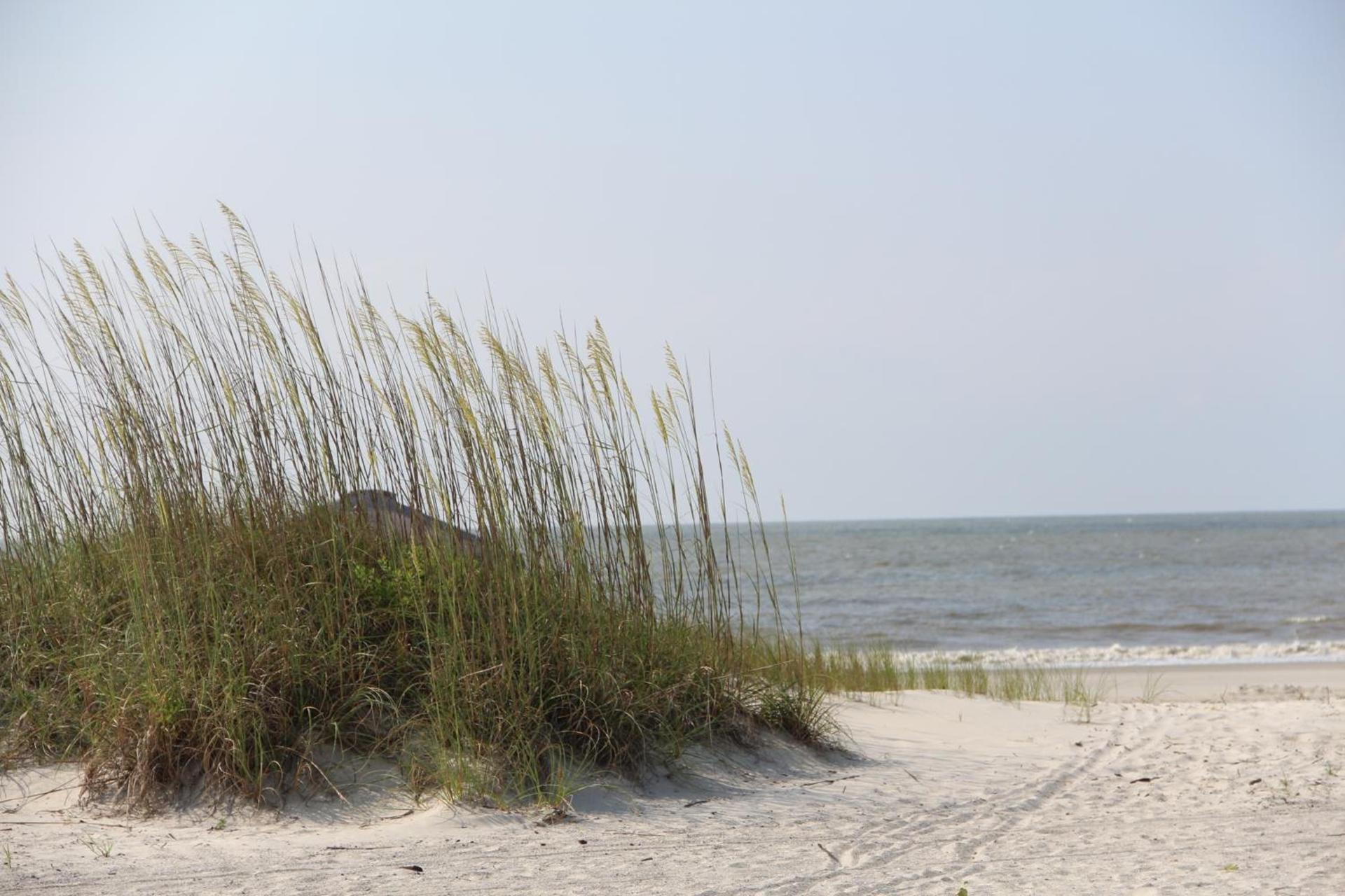 Seawatch at Island Club photo 9