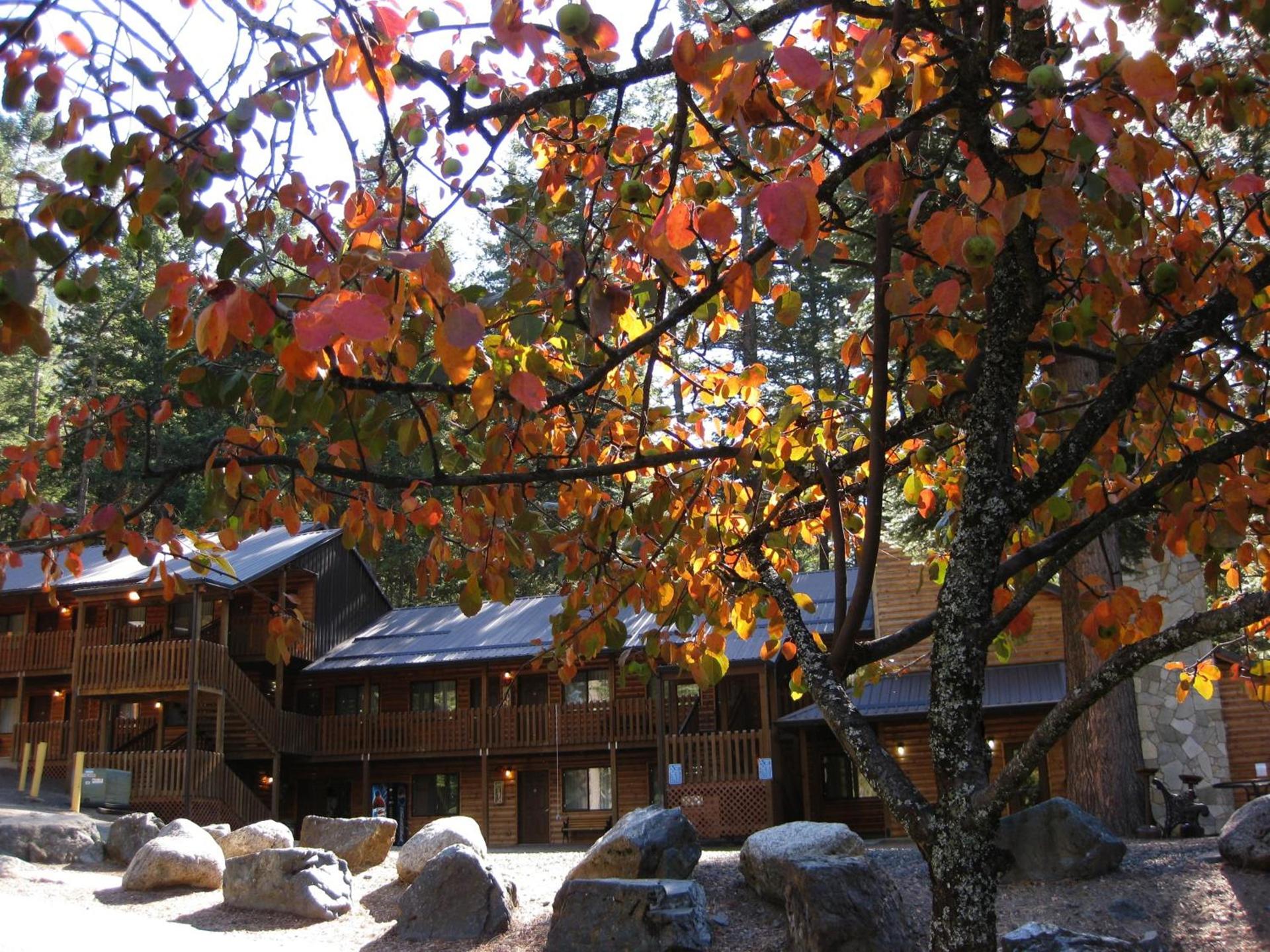 Eagle Cap Chalets photo 89