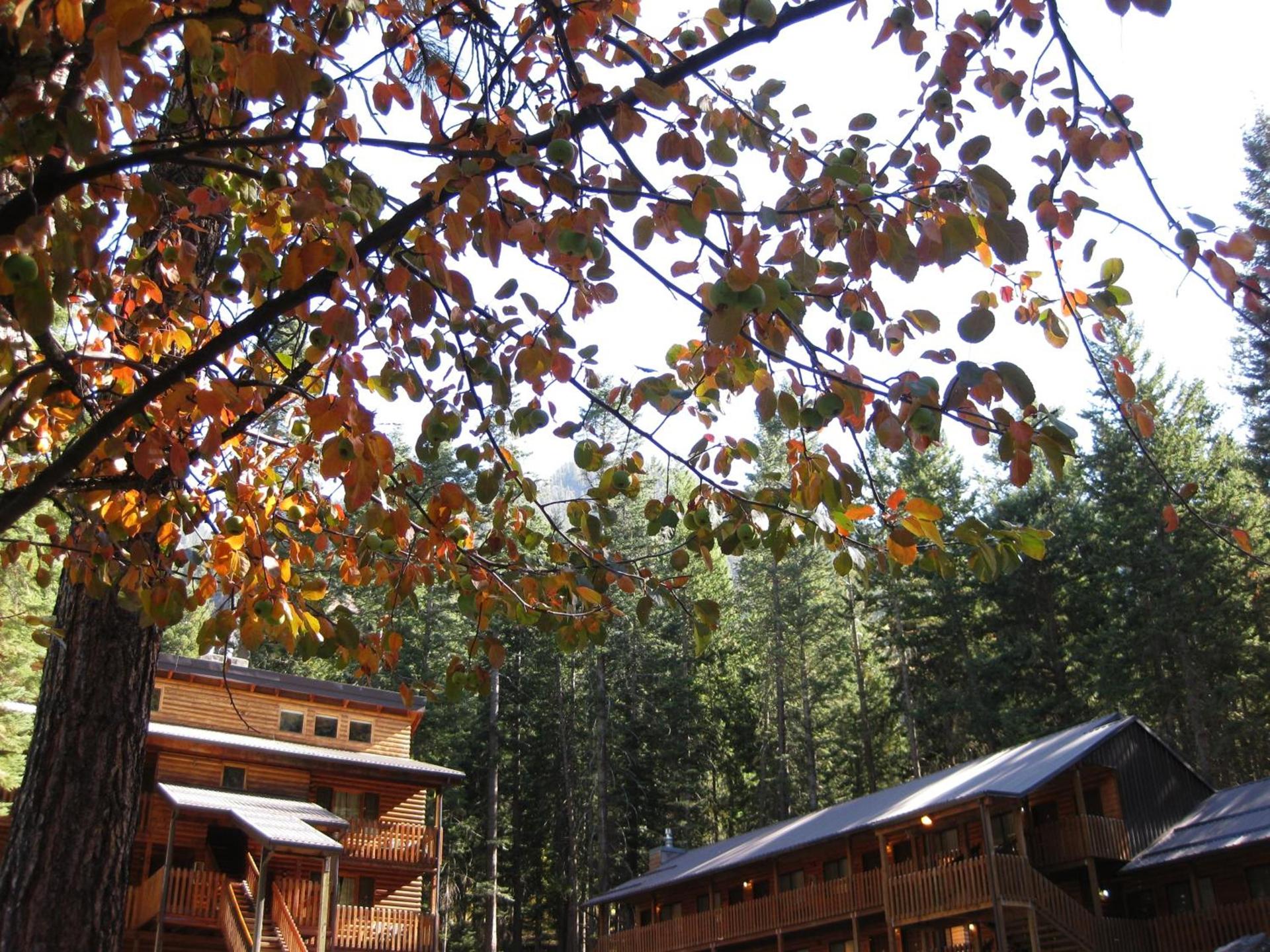 Eagle Cap Chalets photo 90