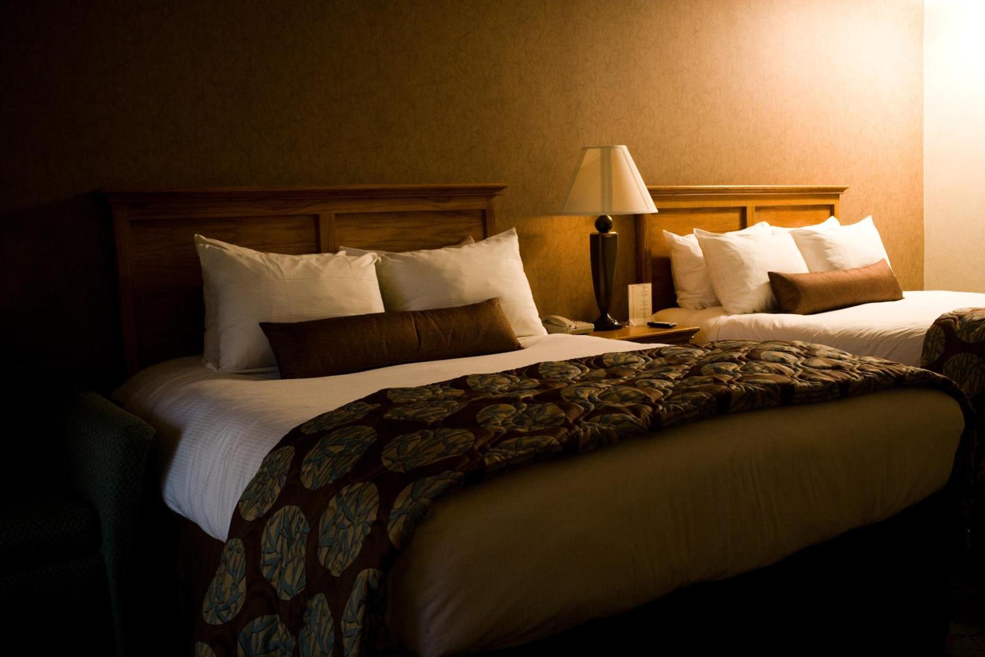 Borrego Springs Resort photo 16