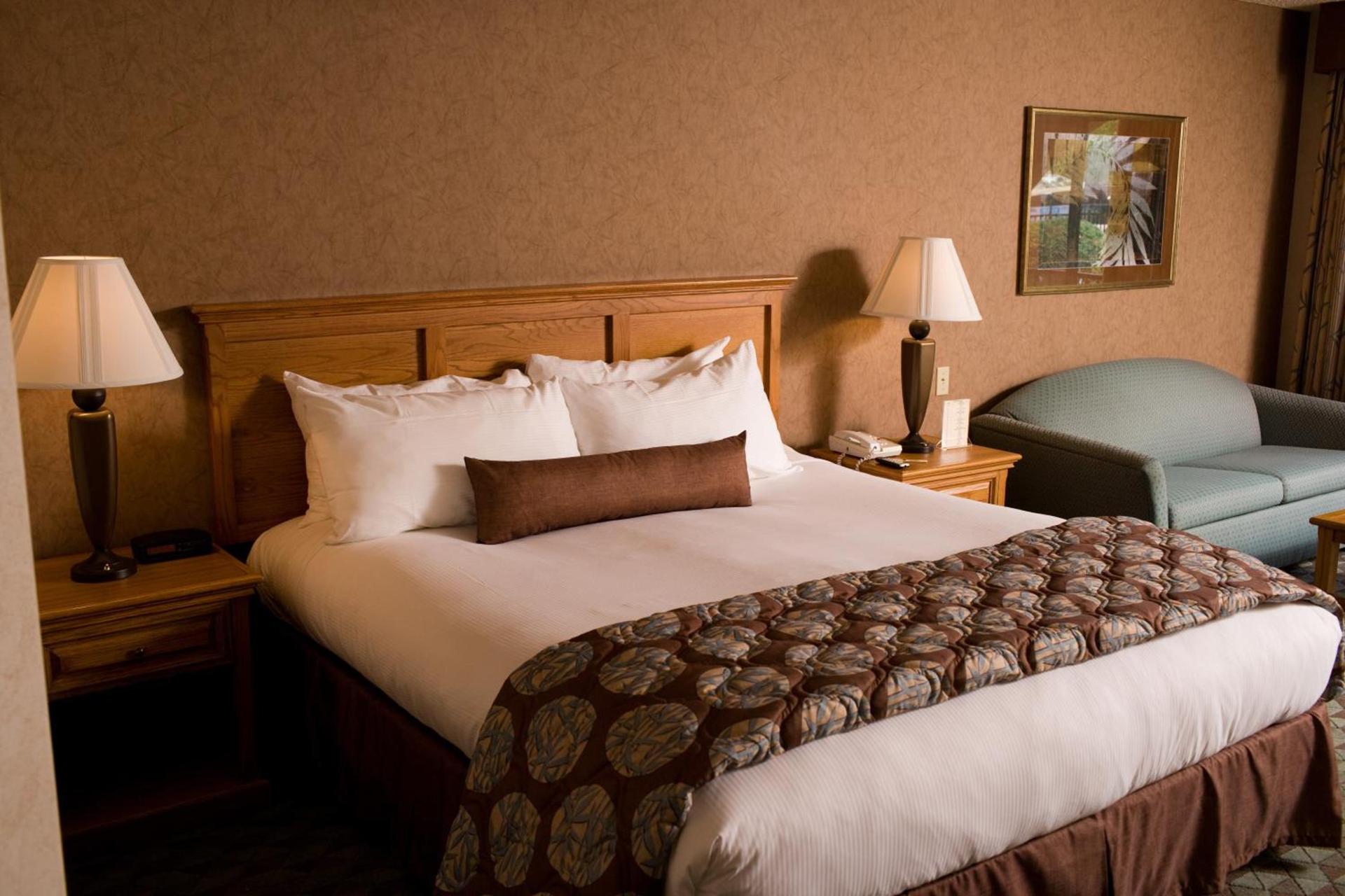 Borrego Springs Resort photo 31