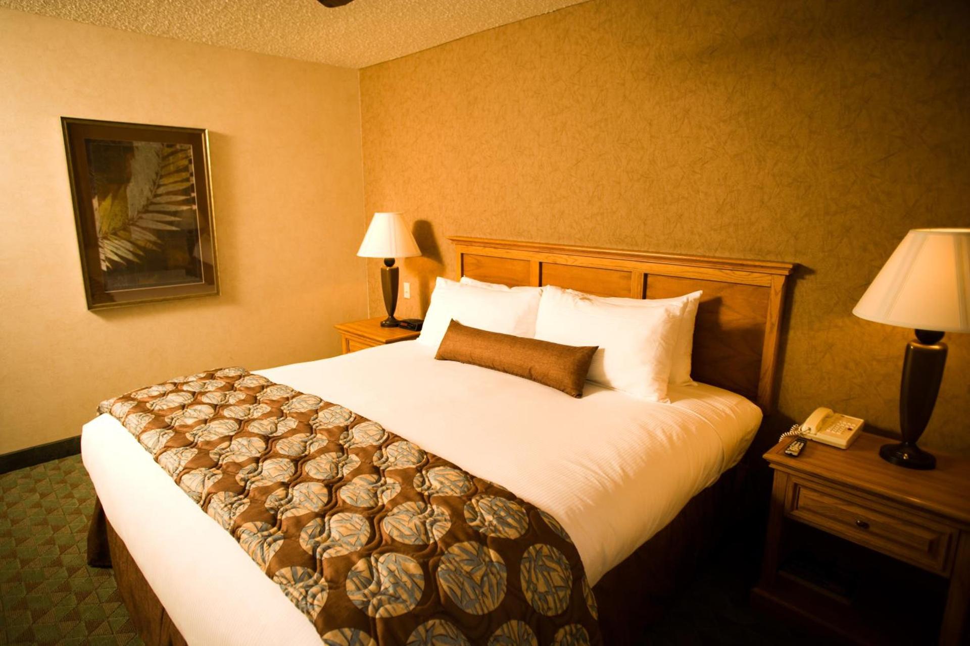Borrego Springs Resort photo 26