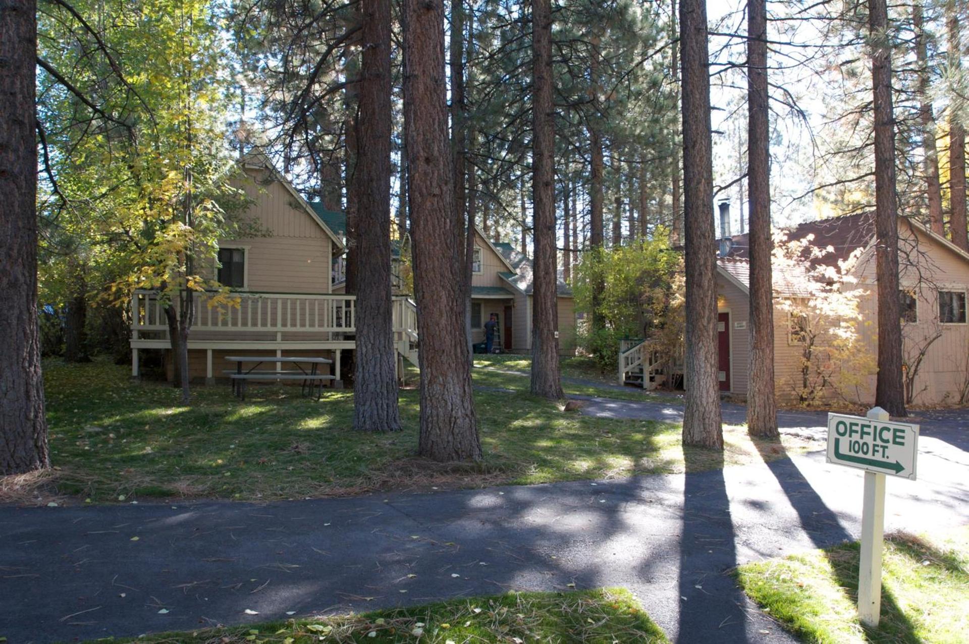 Sleepy Forest Cottages photo 25