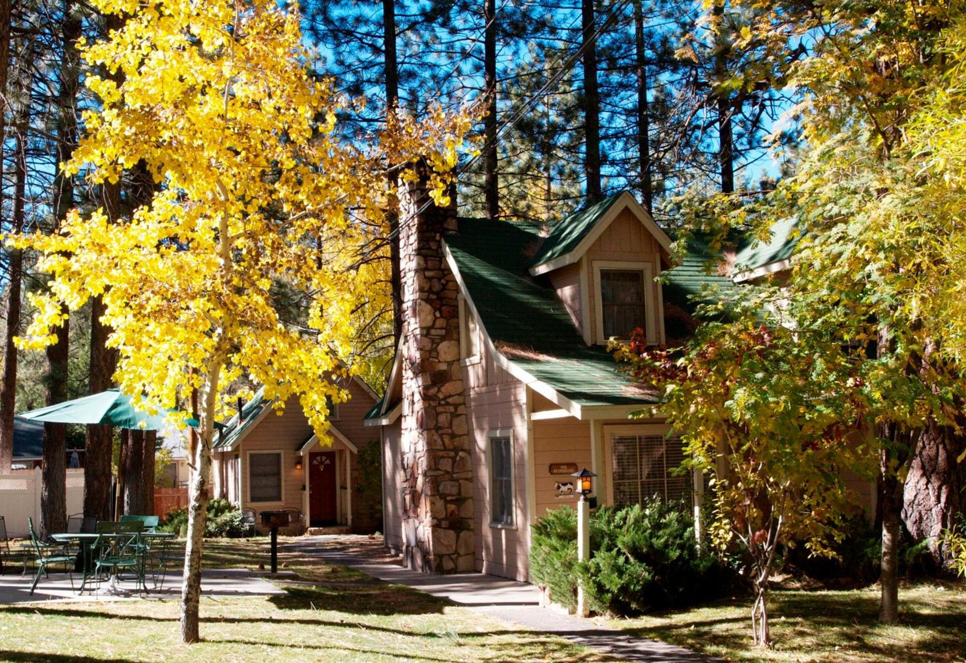 Sleepy Forest Cottages photo 7