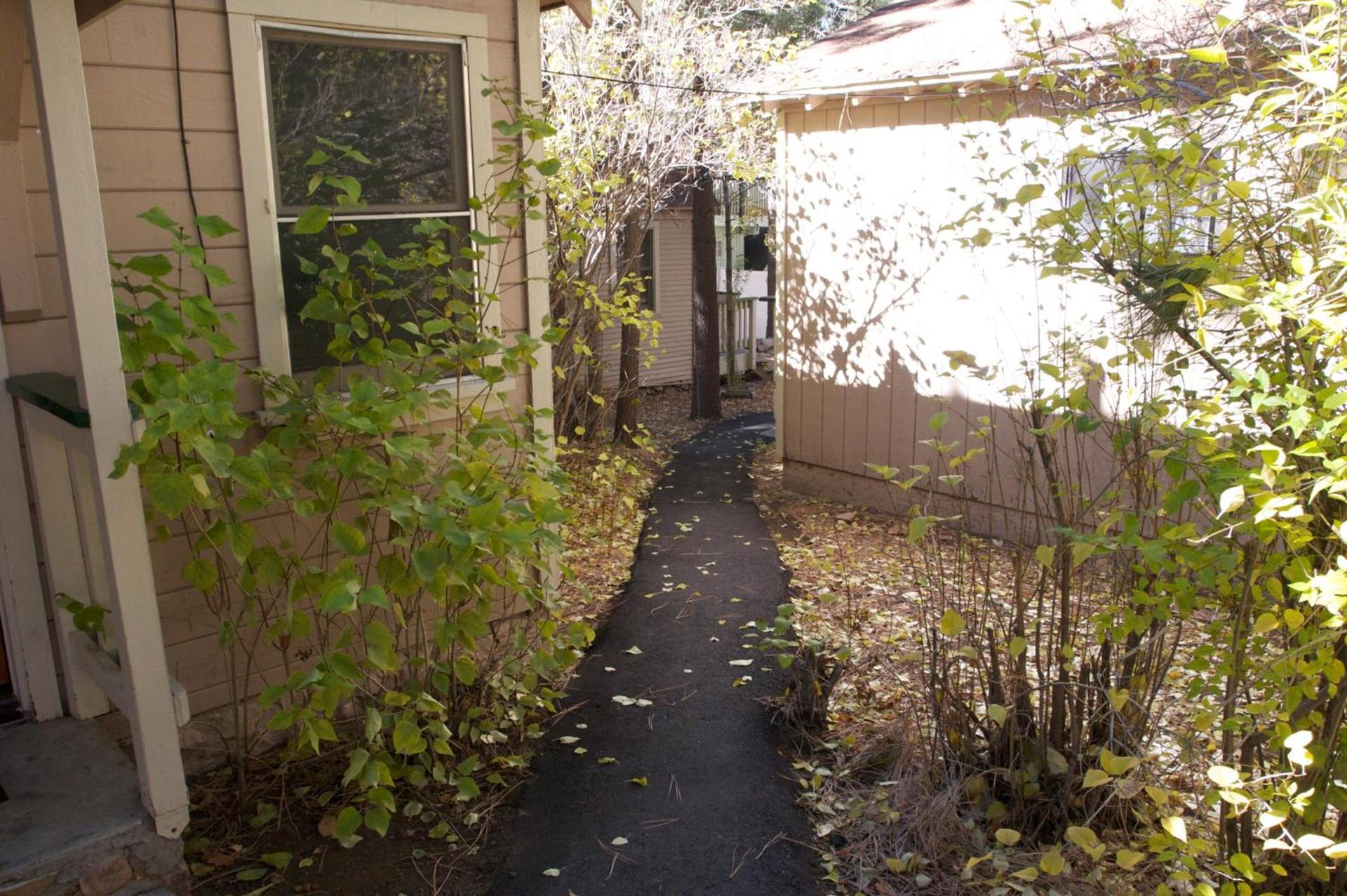 Sleepy Forest Cottages photo 23
