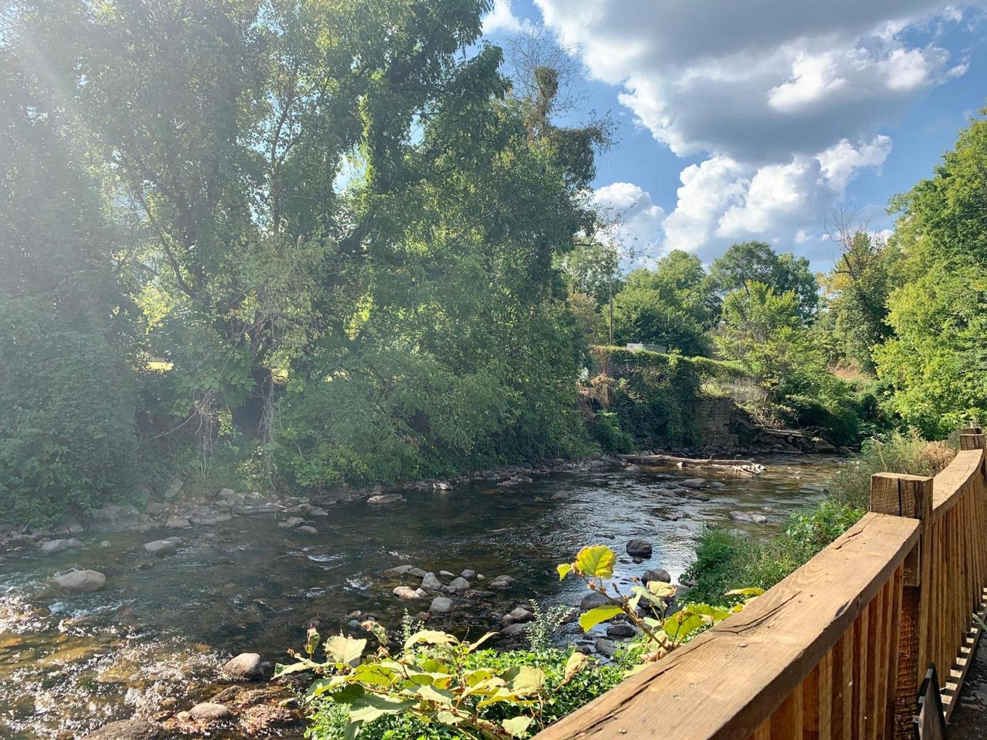 Spring Creek Hotel photo 15