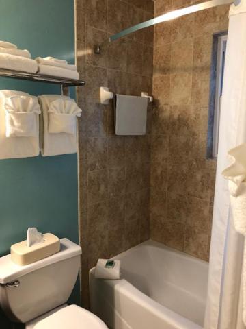 Palm Pavilion Inn photo 12