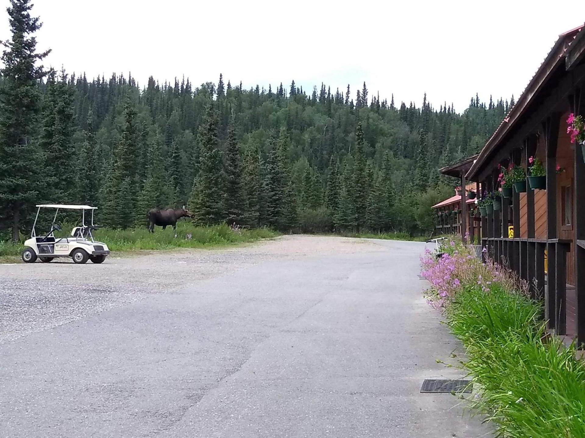White Moose Lodge photo 24